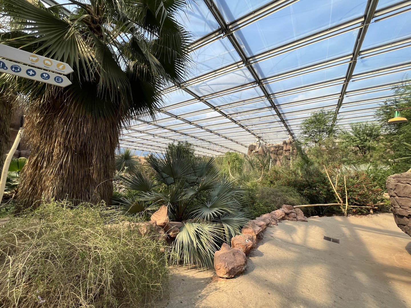 Desert- General view 6.7.23