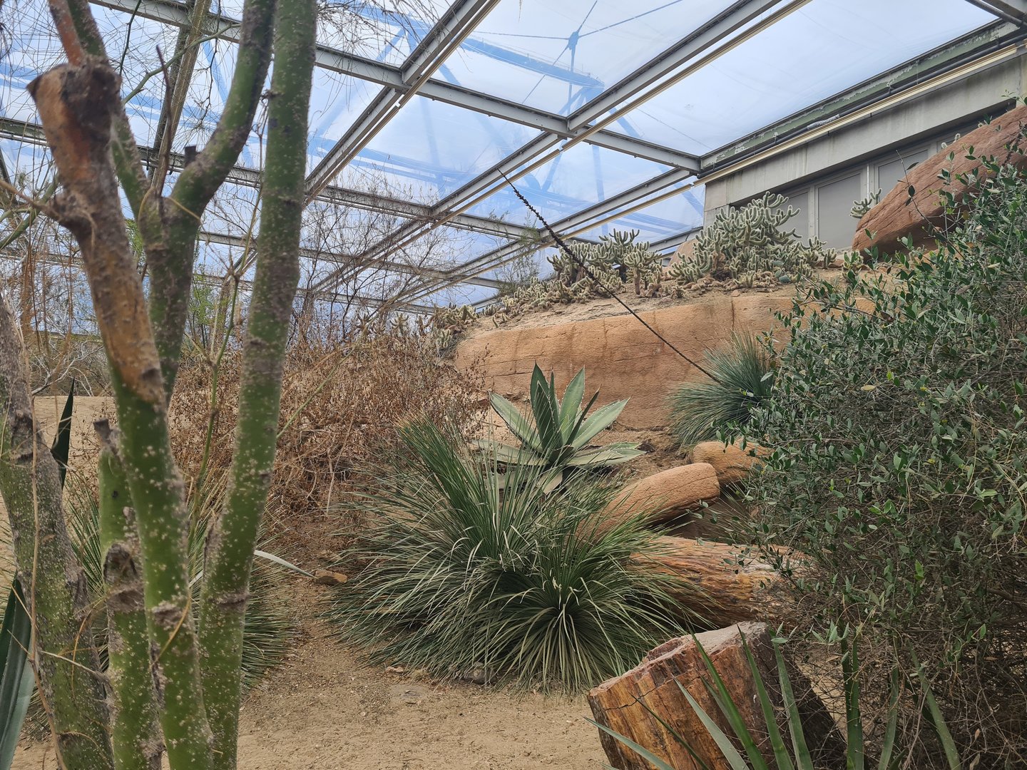 Desert - General view