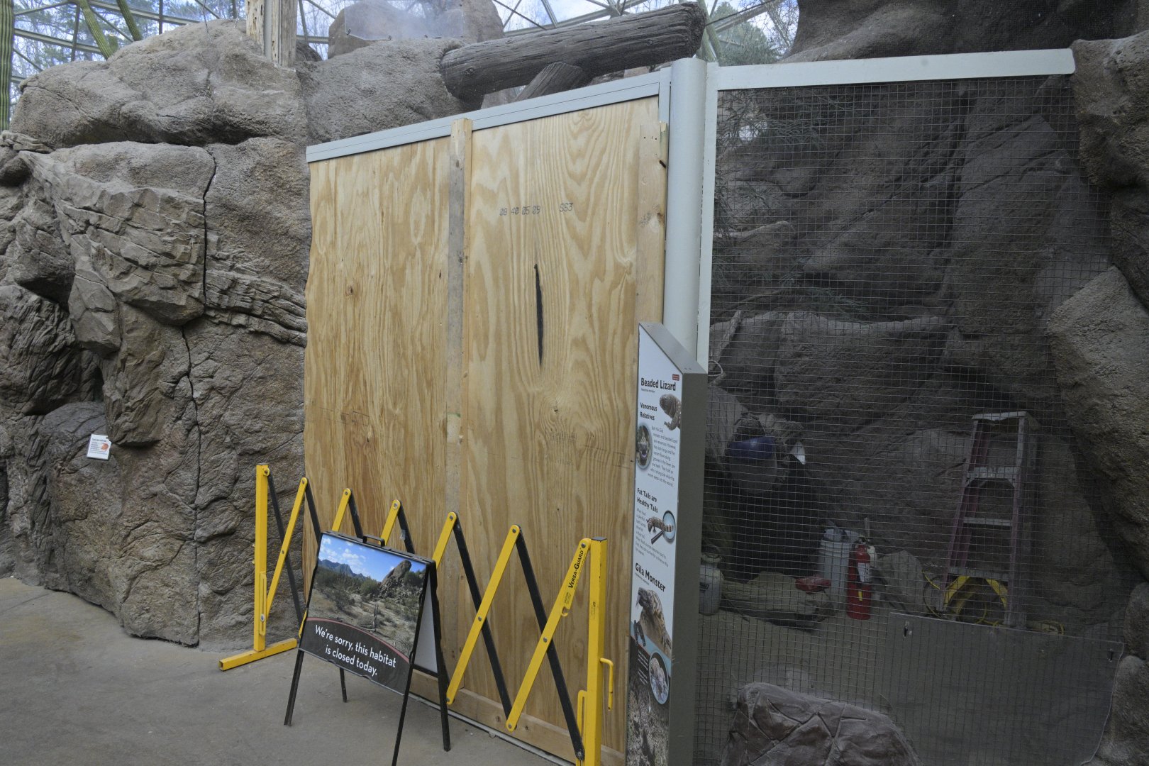 Desert - Gila Monster (Heloderma suspectum)/Beaded Lizard (Heloderma horridum) Exhibit