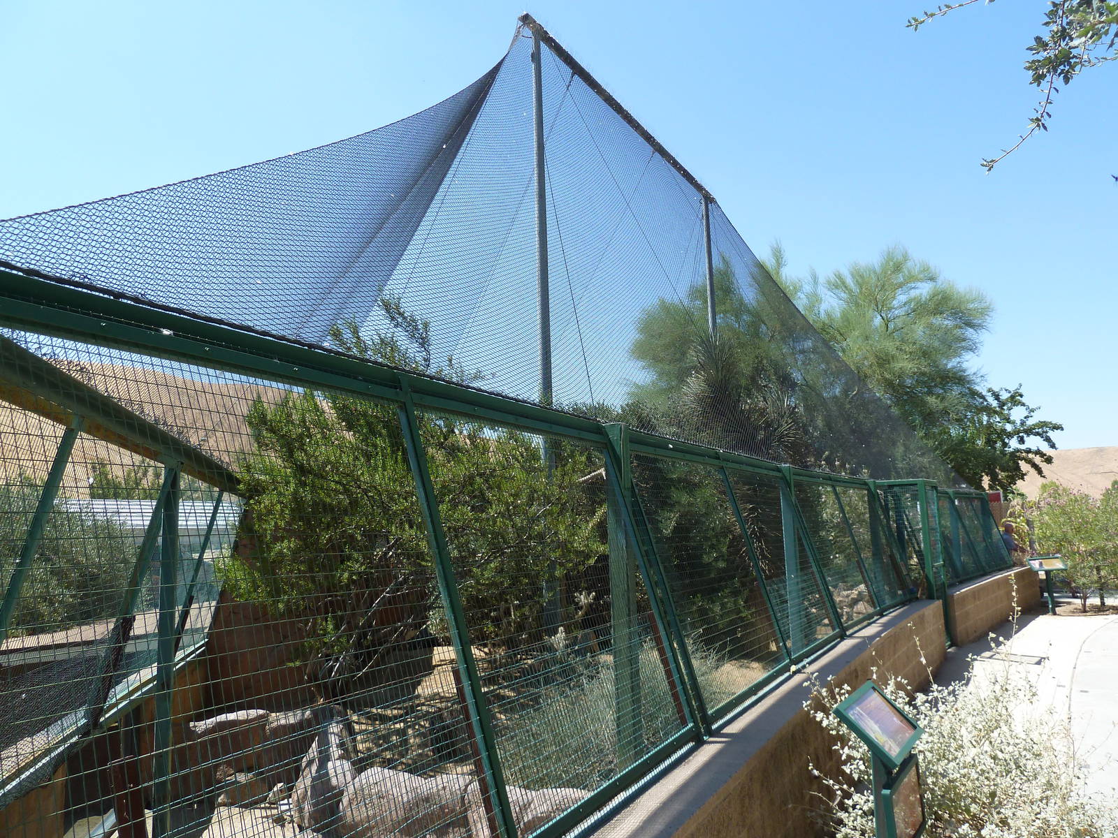 Desert Habitat (4 Species)