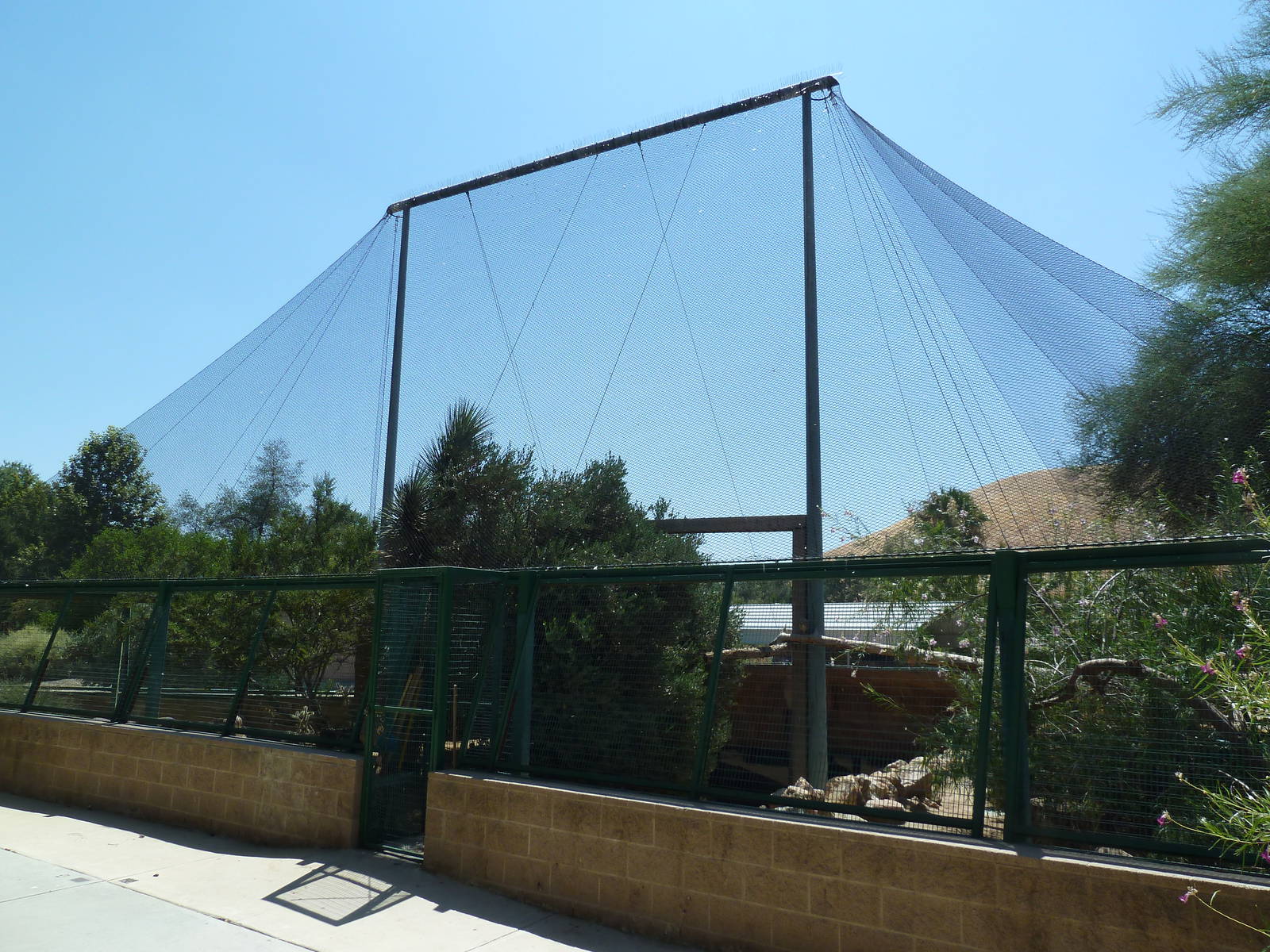 Desert Habitat (4 Species)