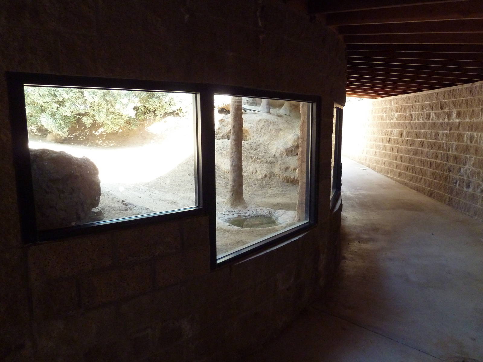 Desert Habitat (4 Species)