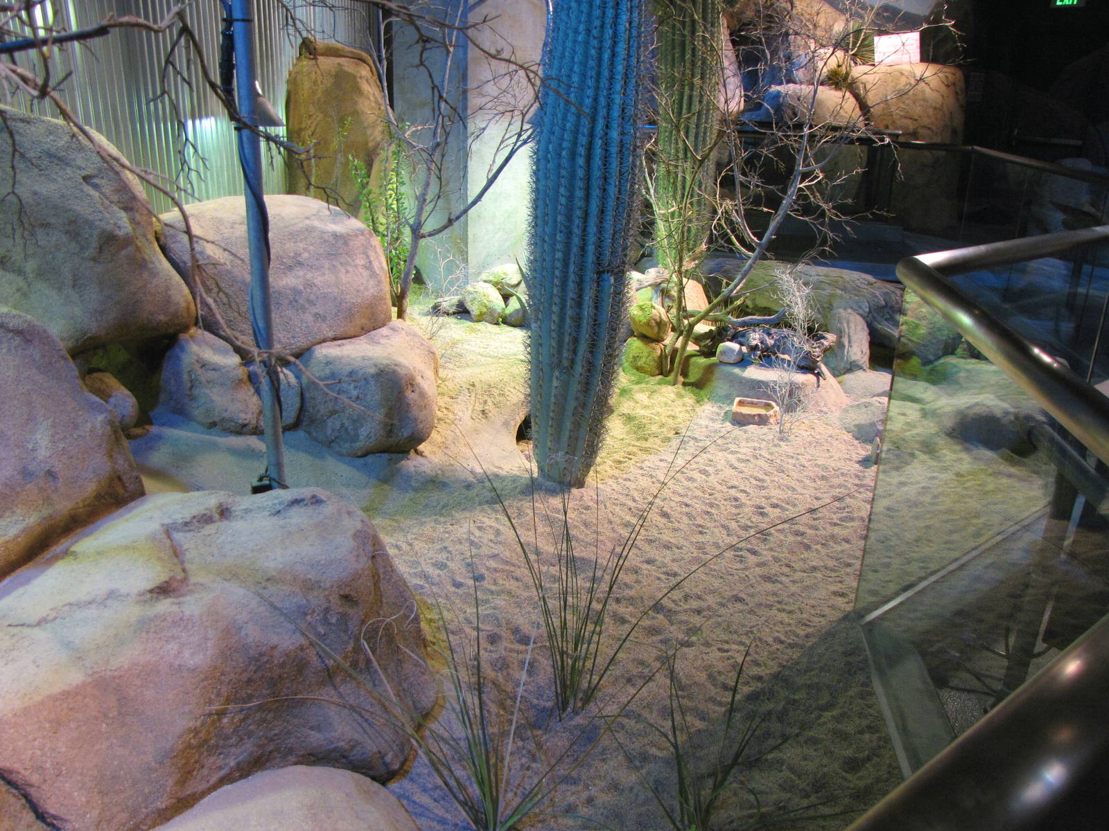 Desert Habitat - Desert Zone