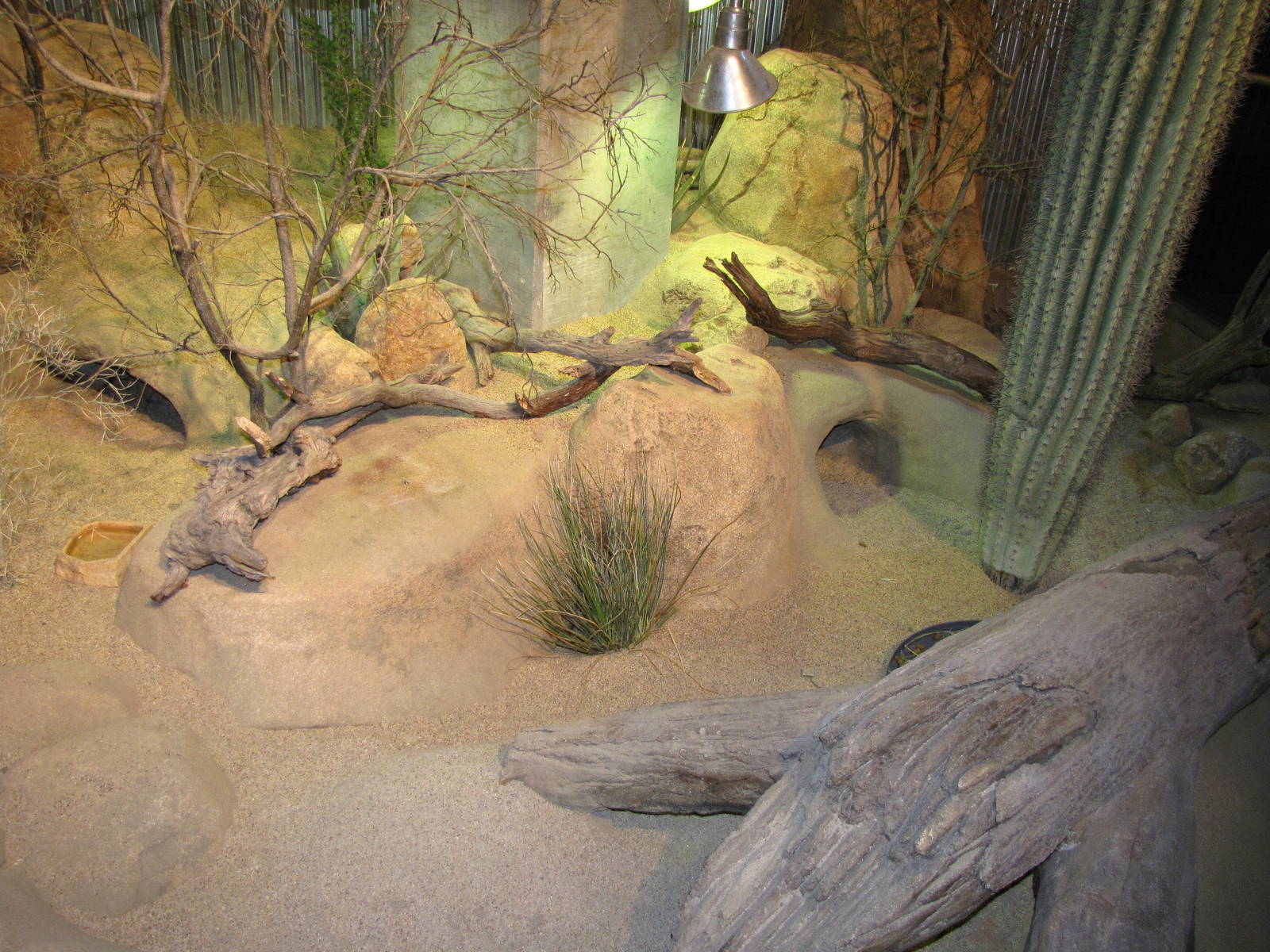 Desert Habitat - Desert Zone