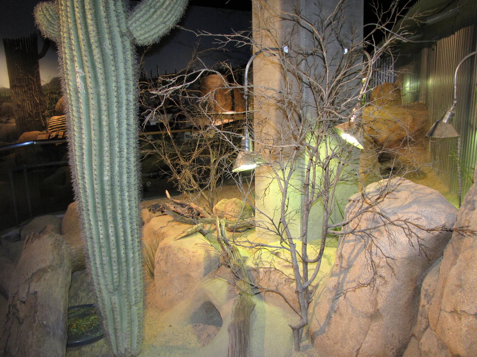 Desert Habitat - Desert Zone