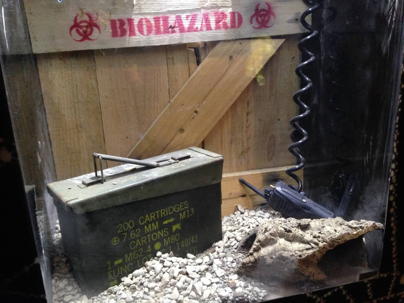 Desert Hairy Scorpion Exhibit at Blue Planet Aquarium - 05/10/2013