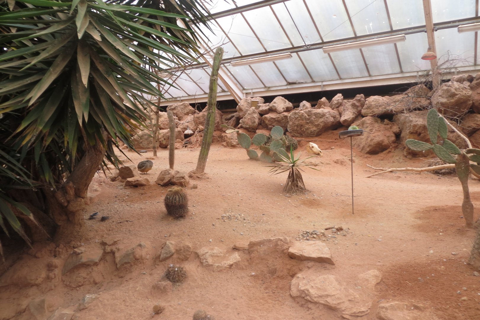 Desert House 050119