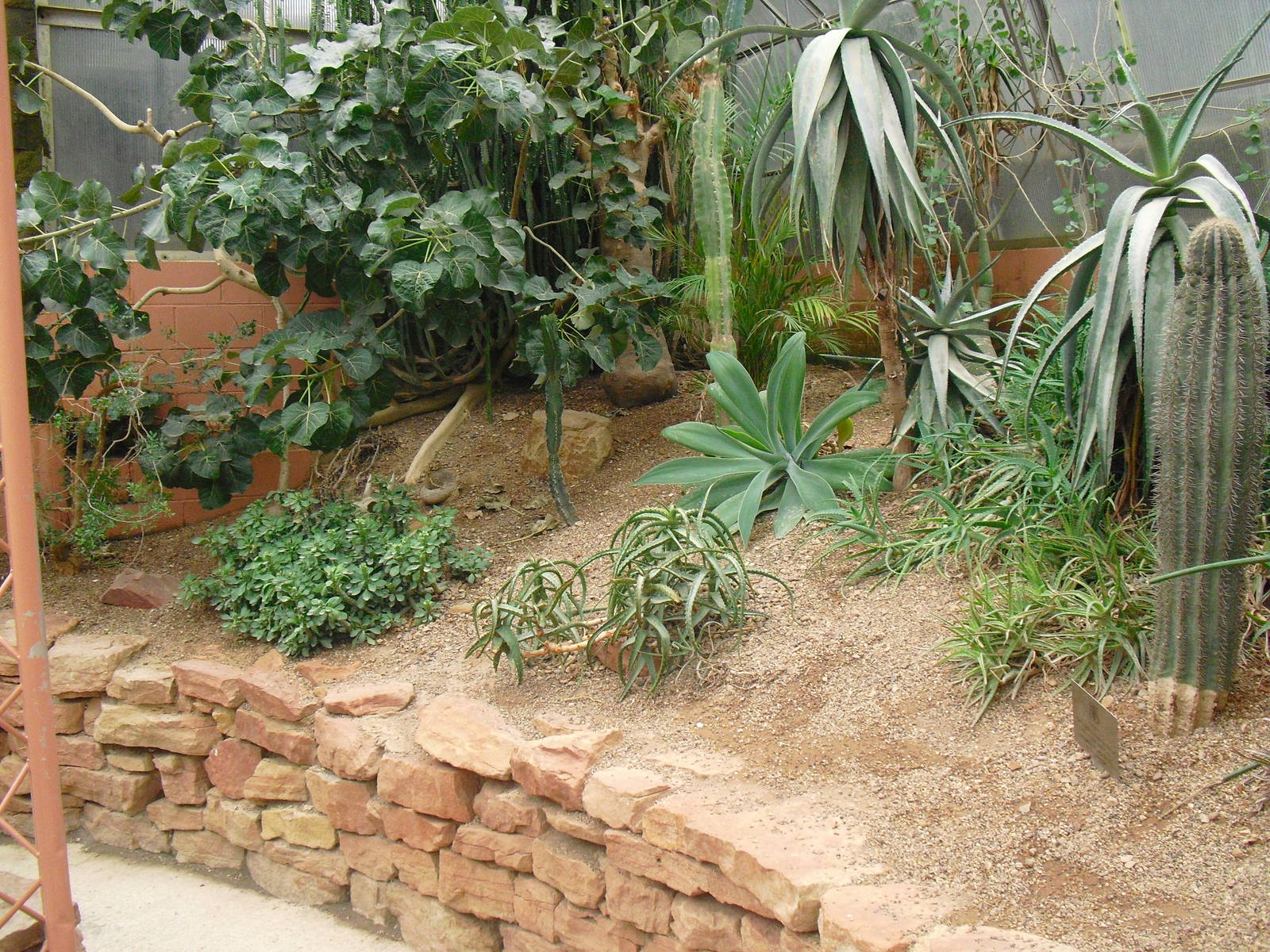 Desert House - 12/10/2011