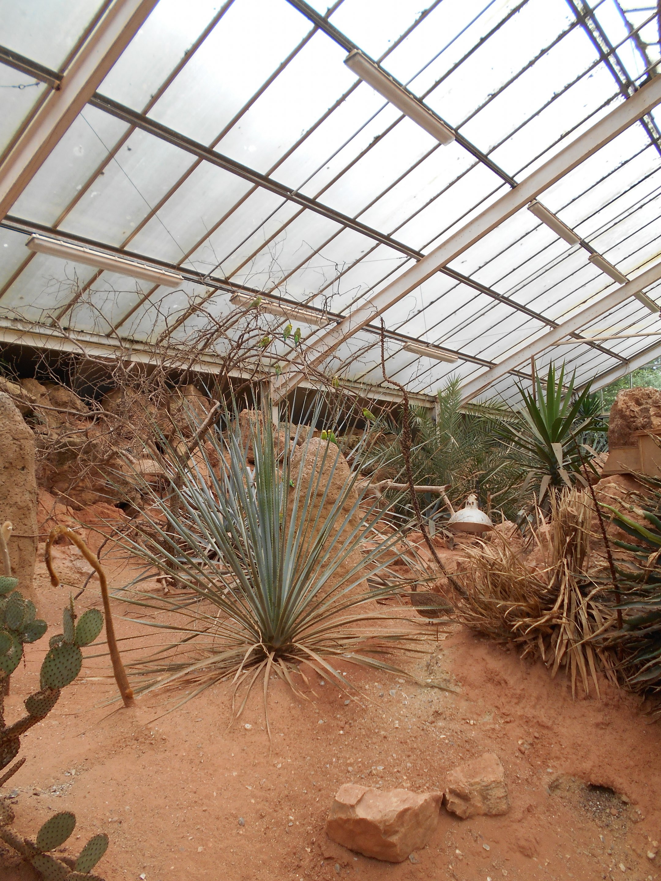 Desert House 23 May 2019