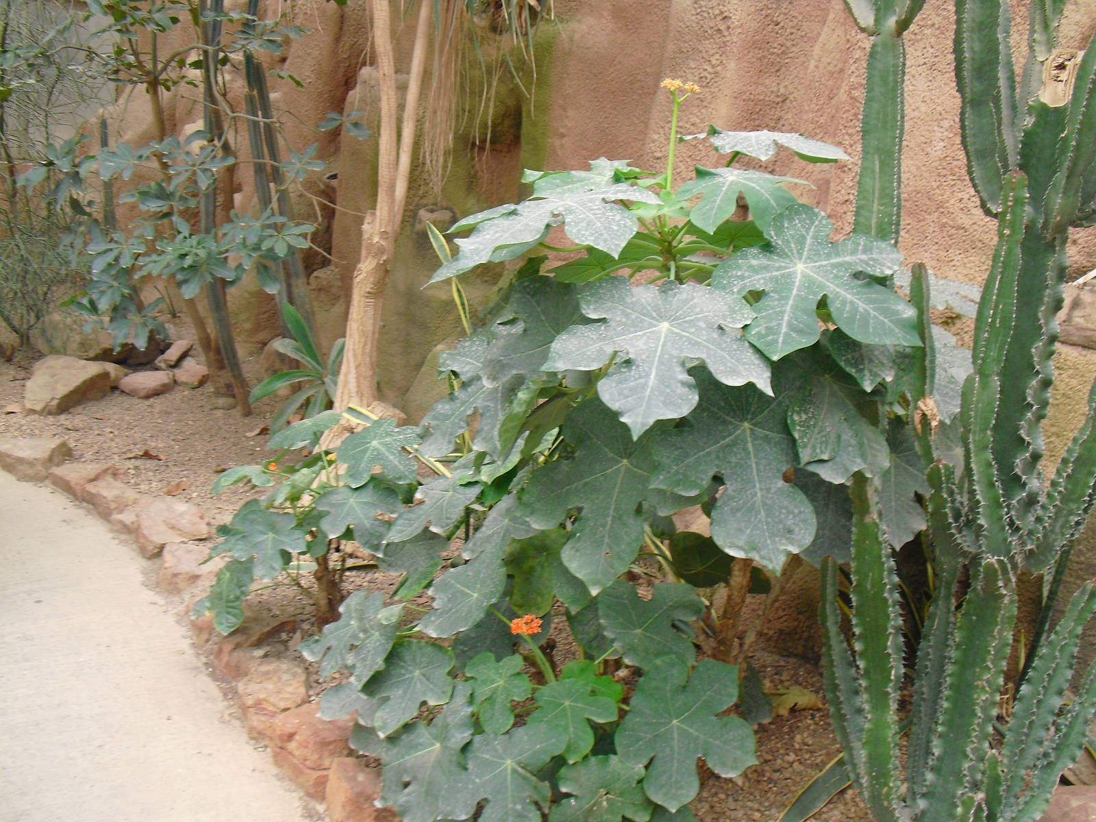 Desert House - 27/10/2011