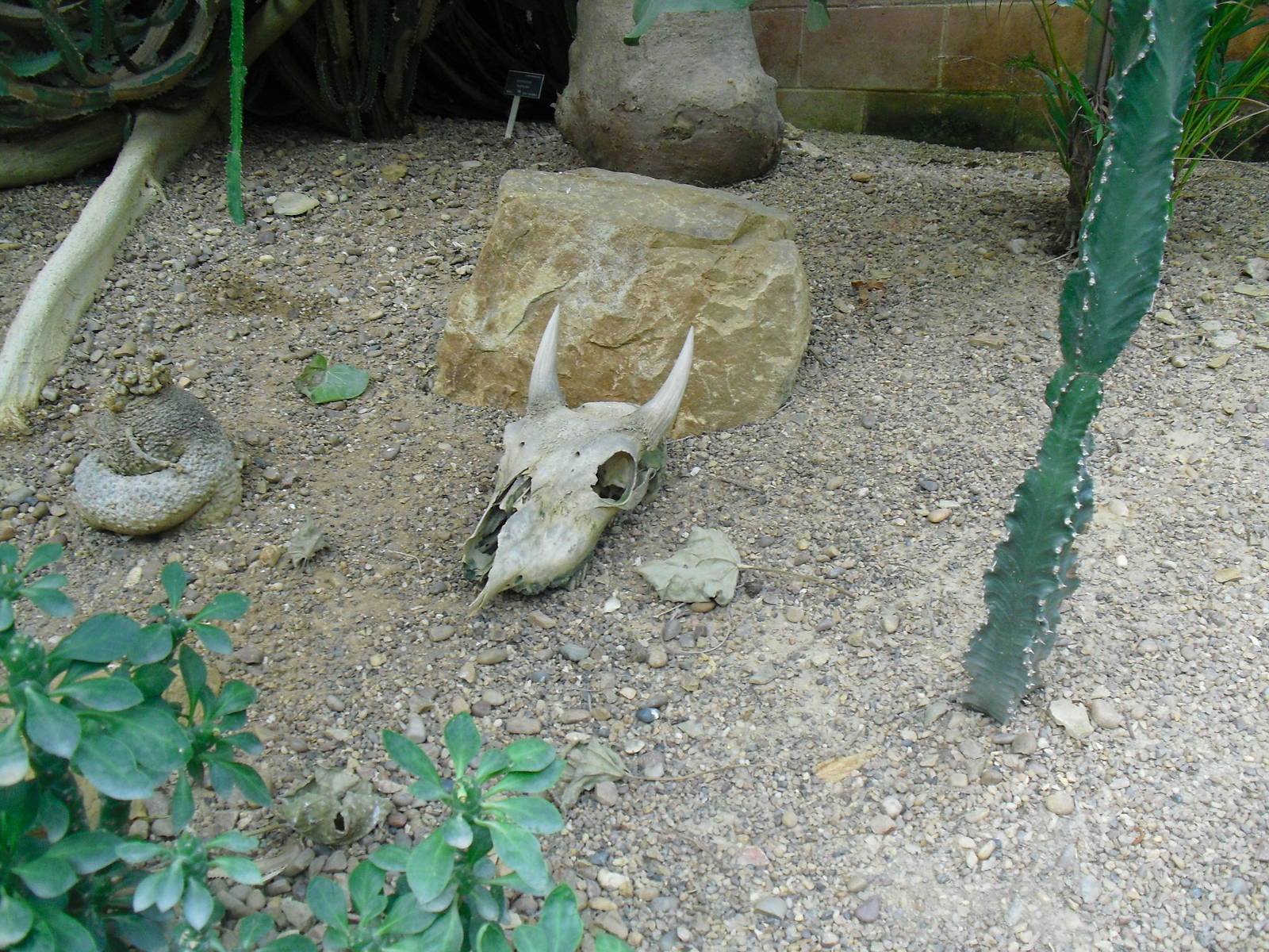 Desert House - 27/10/2011