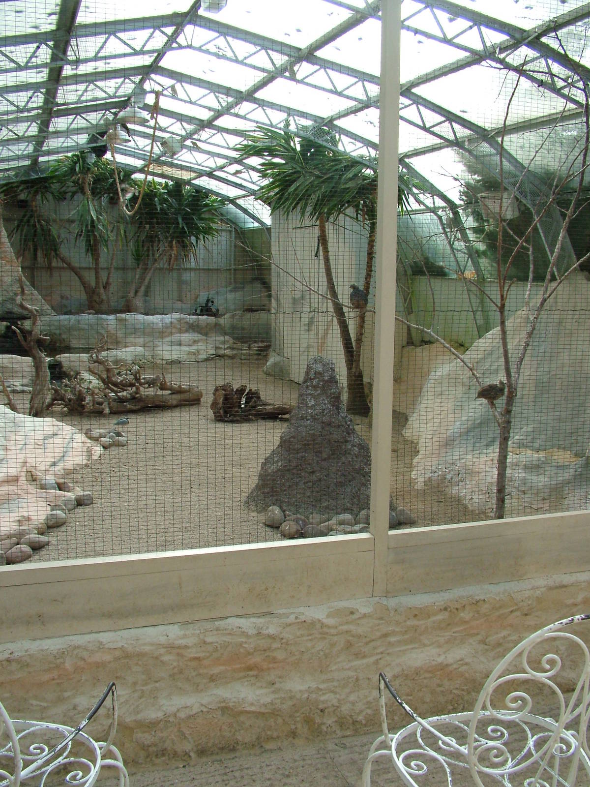 Desert House at Birdland 19/09/09