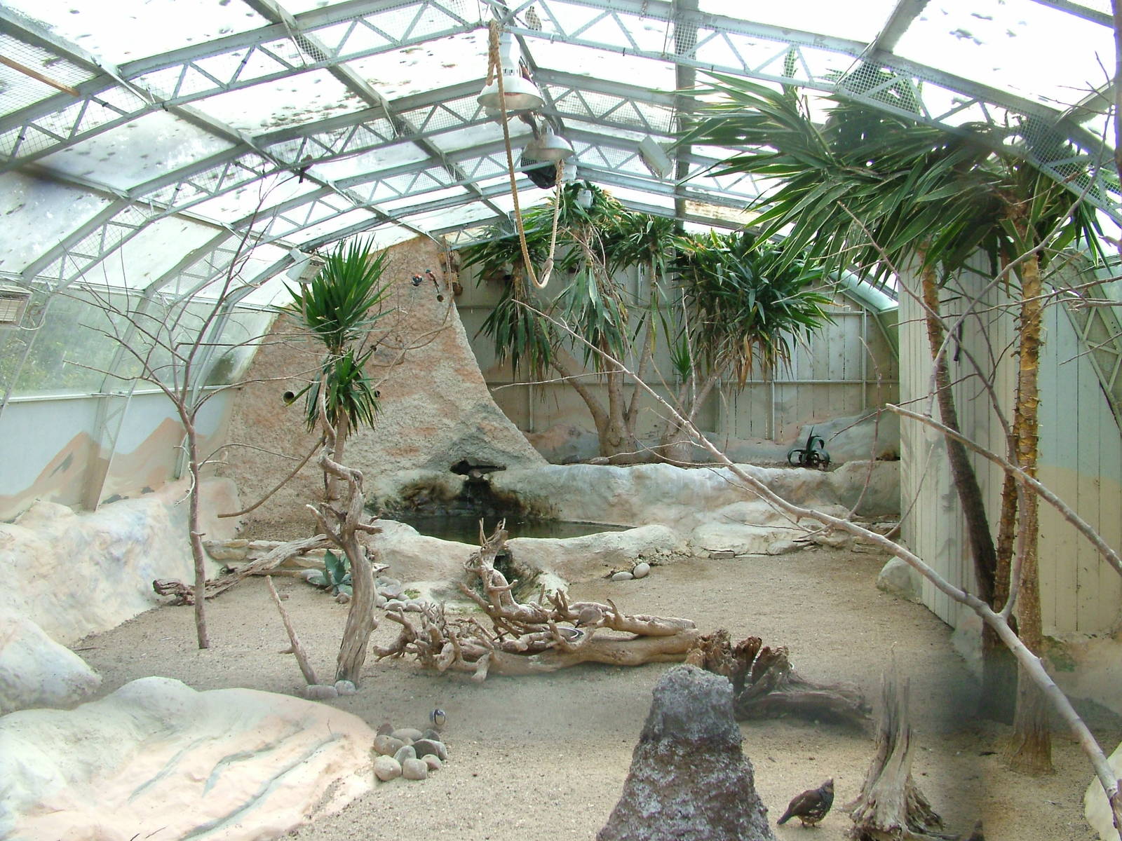 Desert House at Birdland 19/09/09