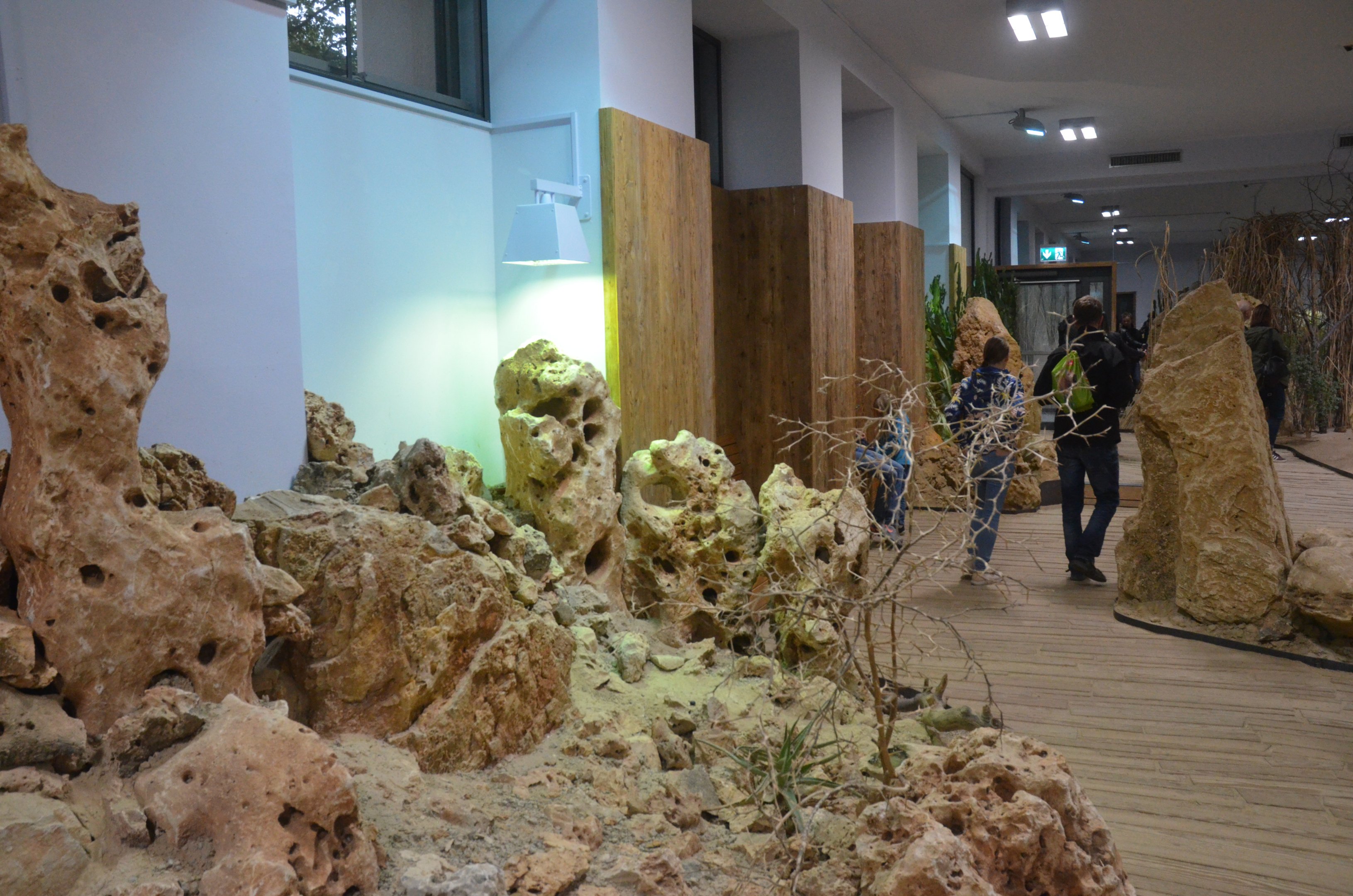 Desert House at Nuremberg, 08/09/19