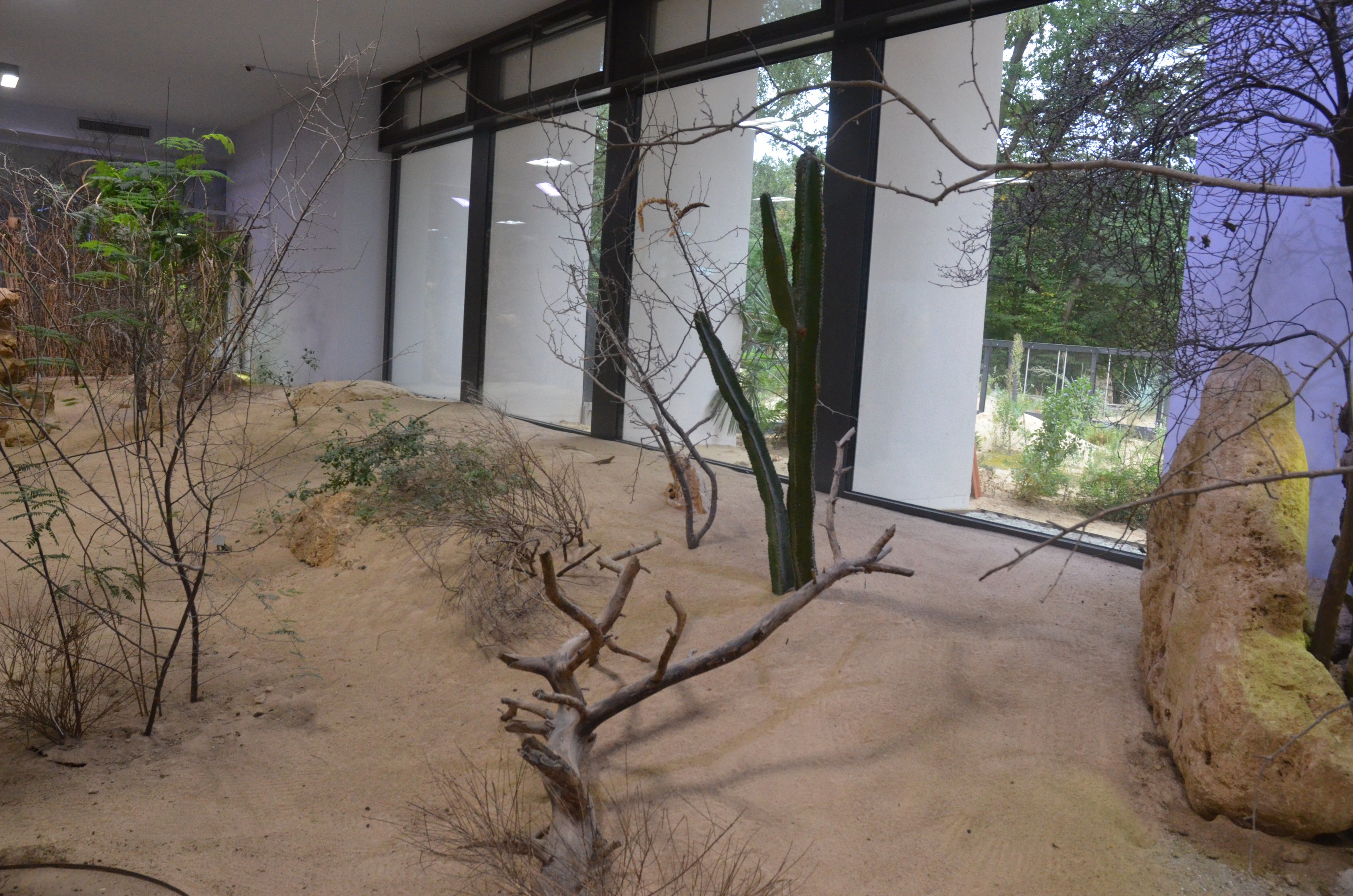 Desert House at Nuremberg, 08/09/19