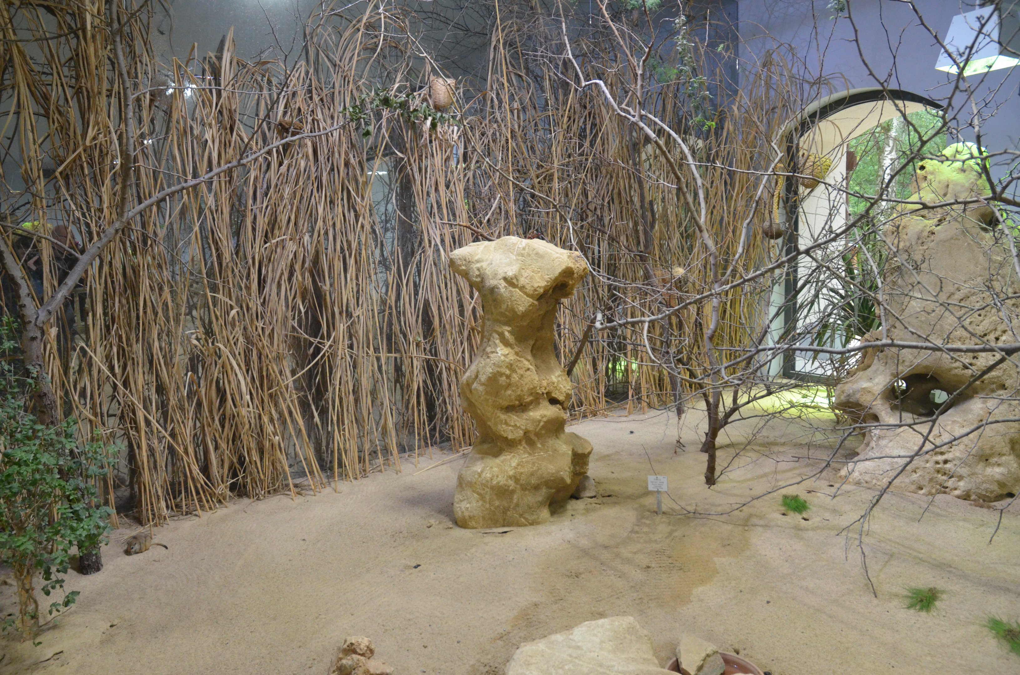 Desert House at Nuremberg, 08/09/19