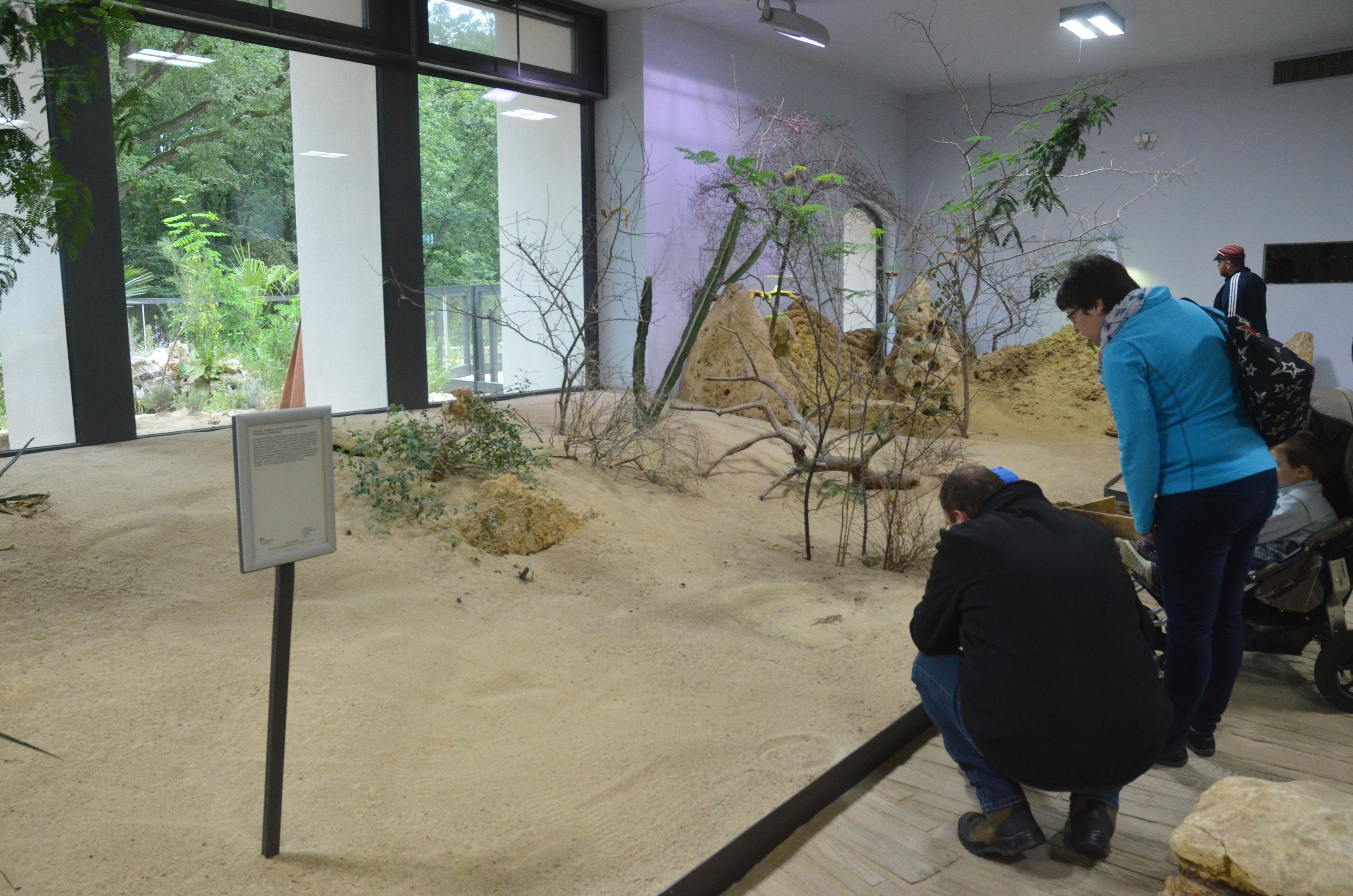 Desert House at Nuremberg, 08/09/19