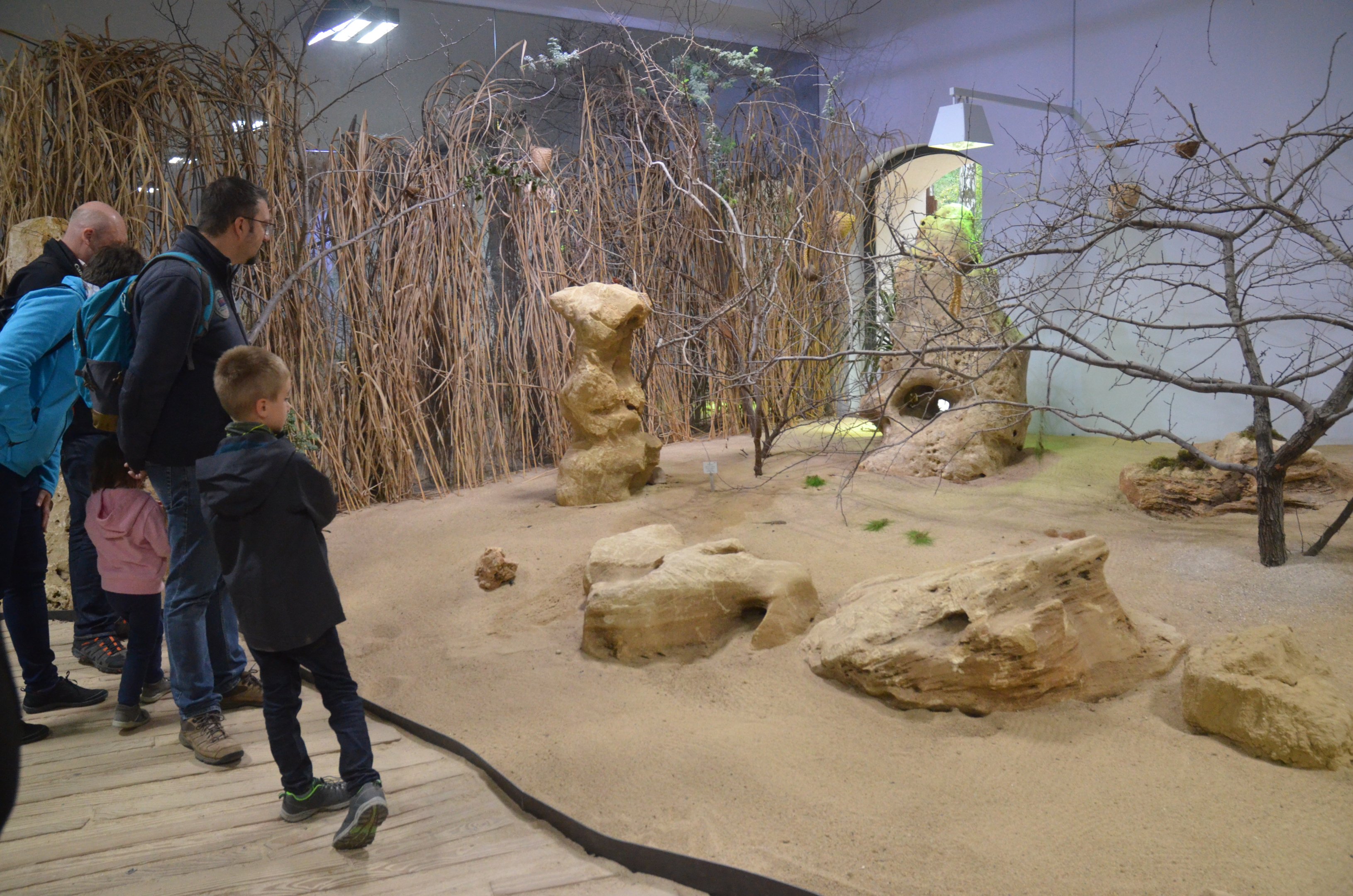 Desert House at Nuremberg, 08/09/19