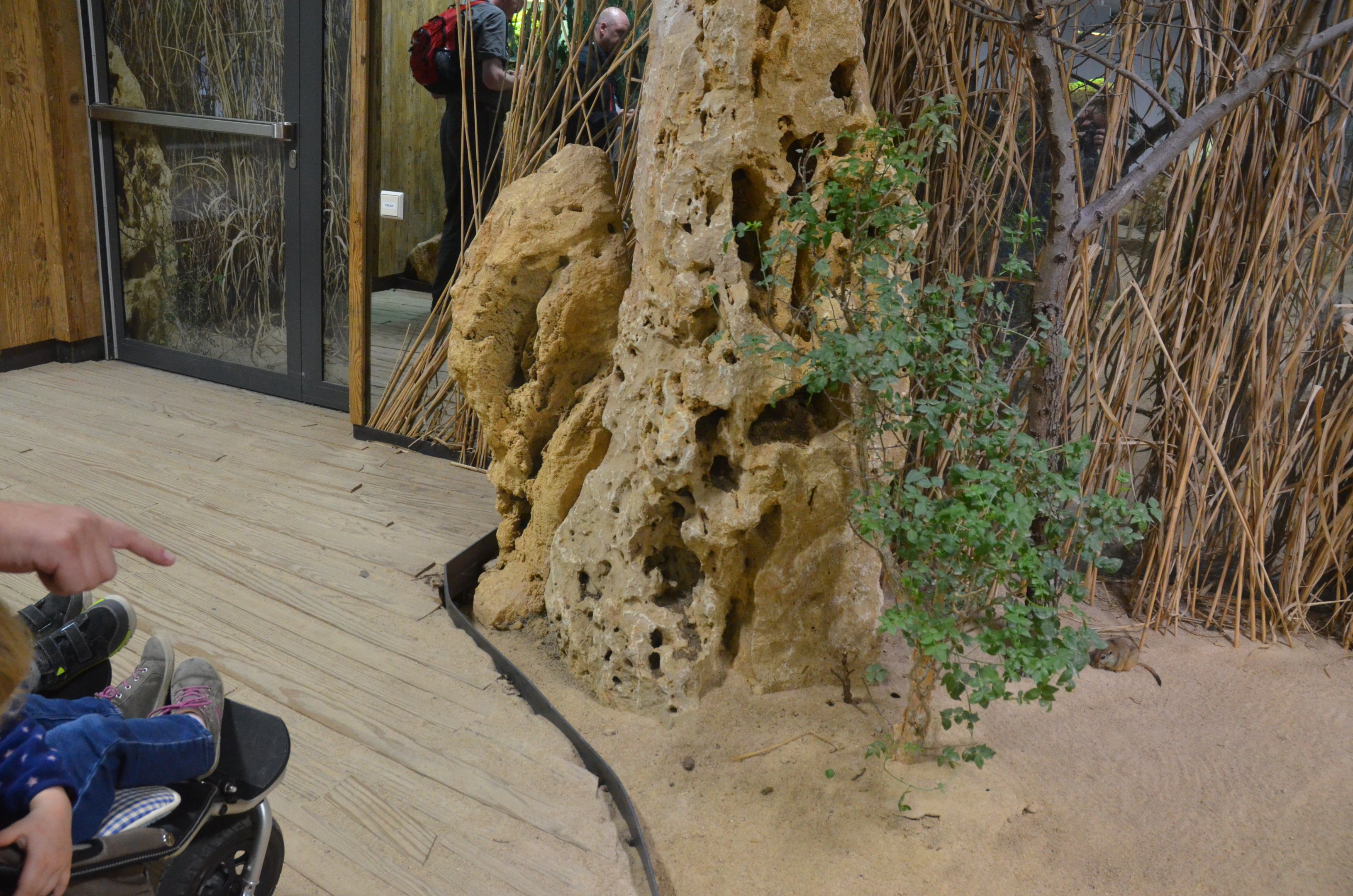 Desert House at Nuremberg, 08/09/19