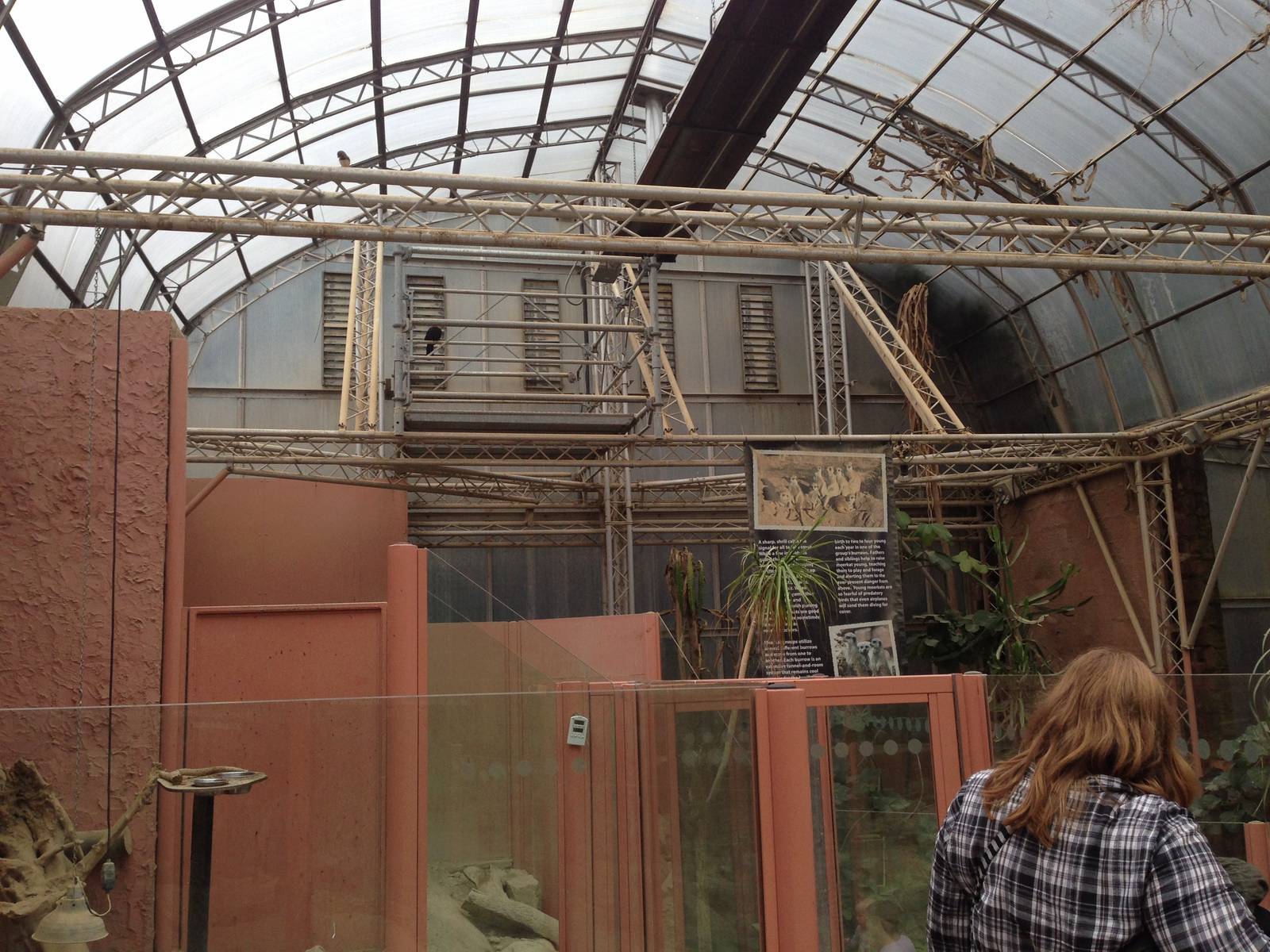 Desert House at Tropical World - 02/10/2013