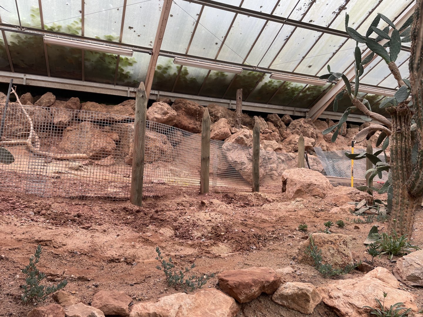 Desert House Construction (2)