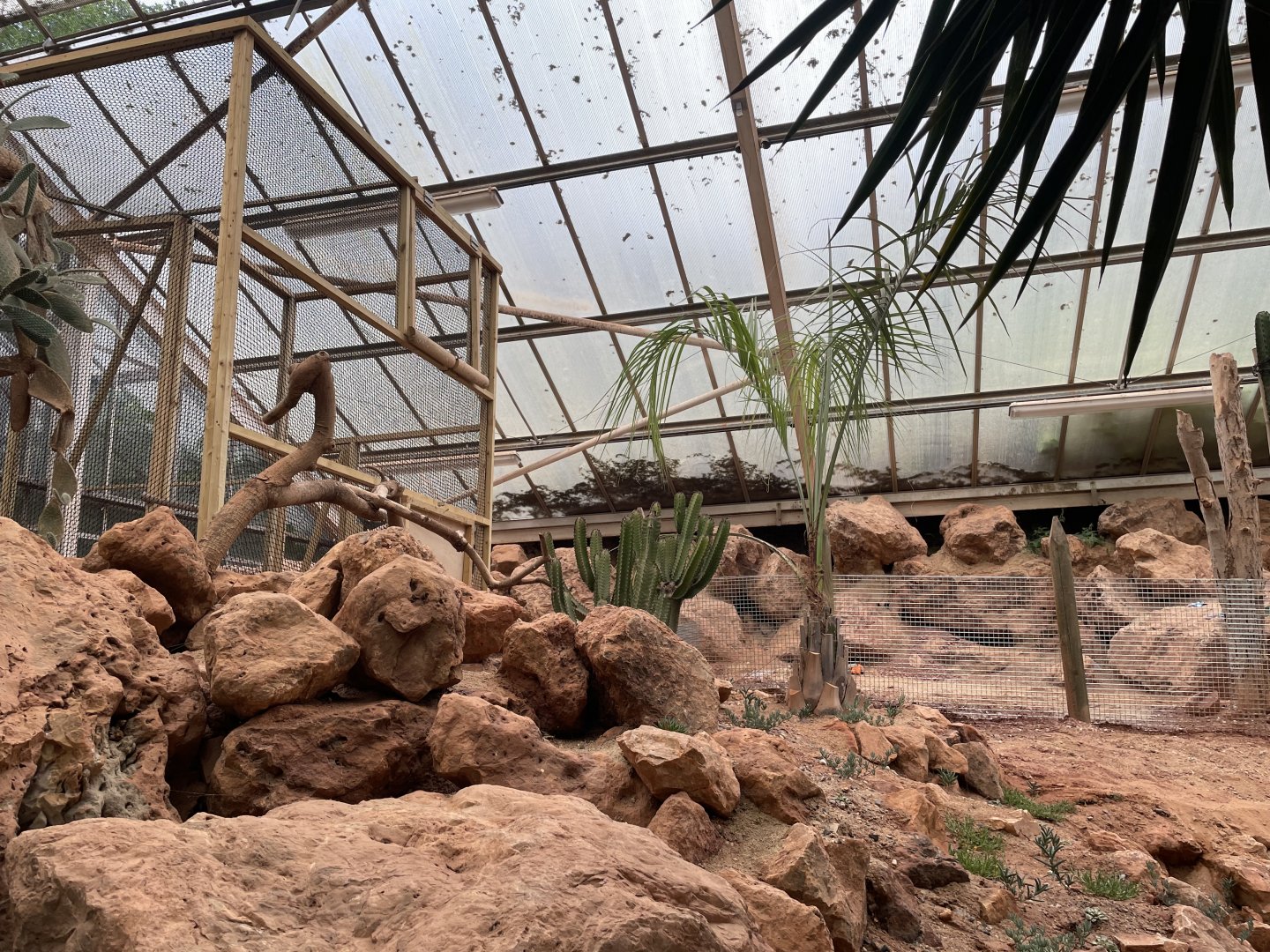 Desert House Construction (3)