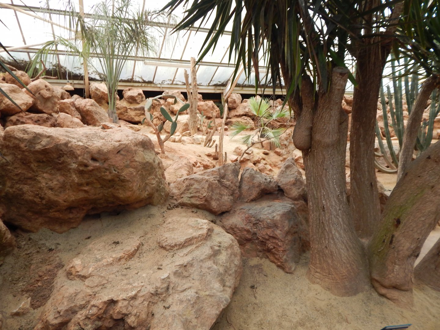 Desert House - currently empty 050224