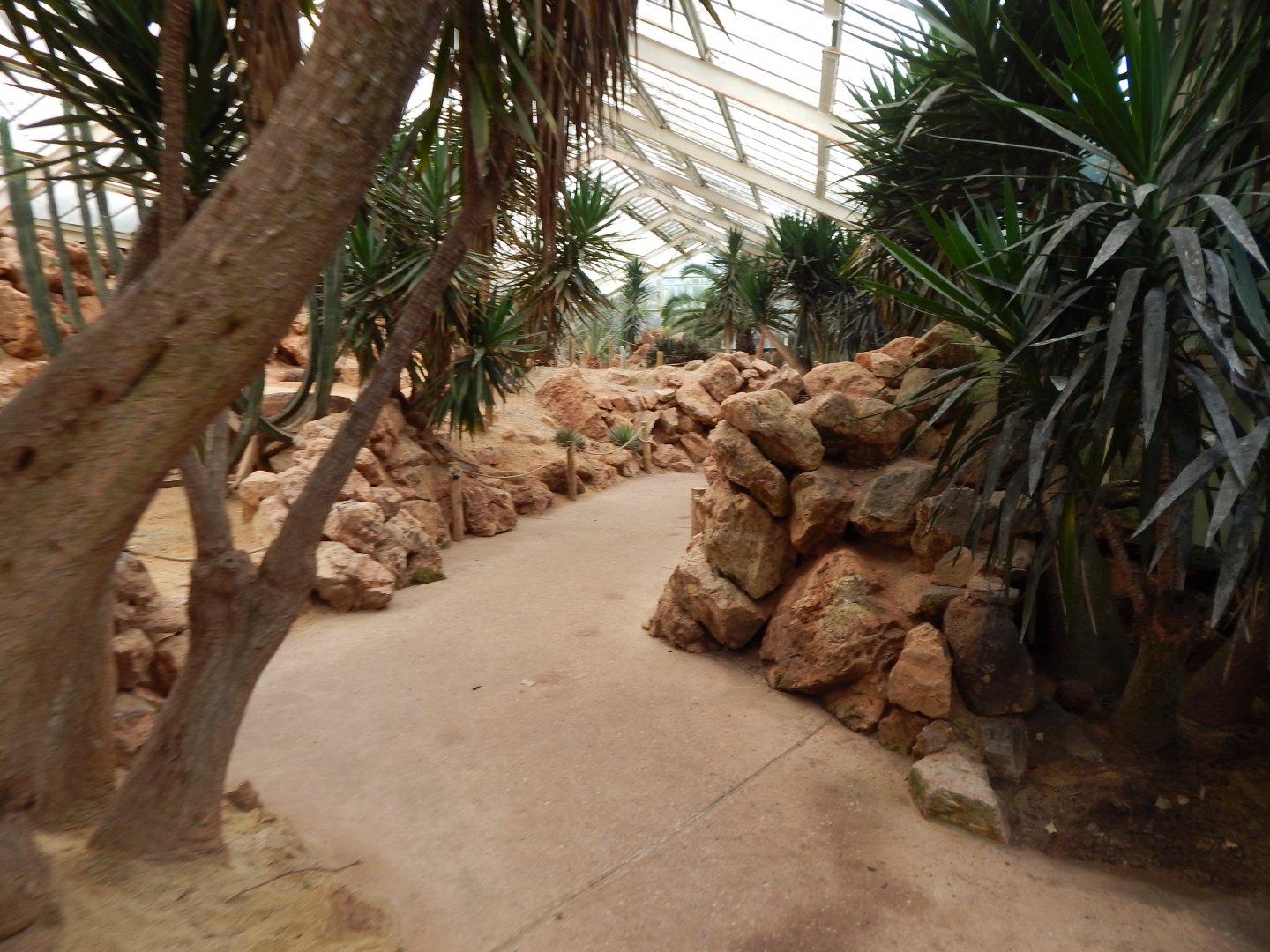 Desert House - currently empty 050224