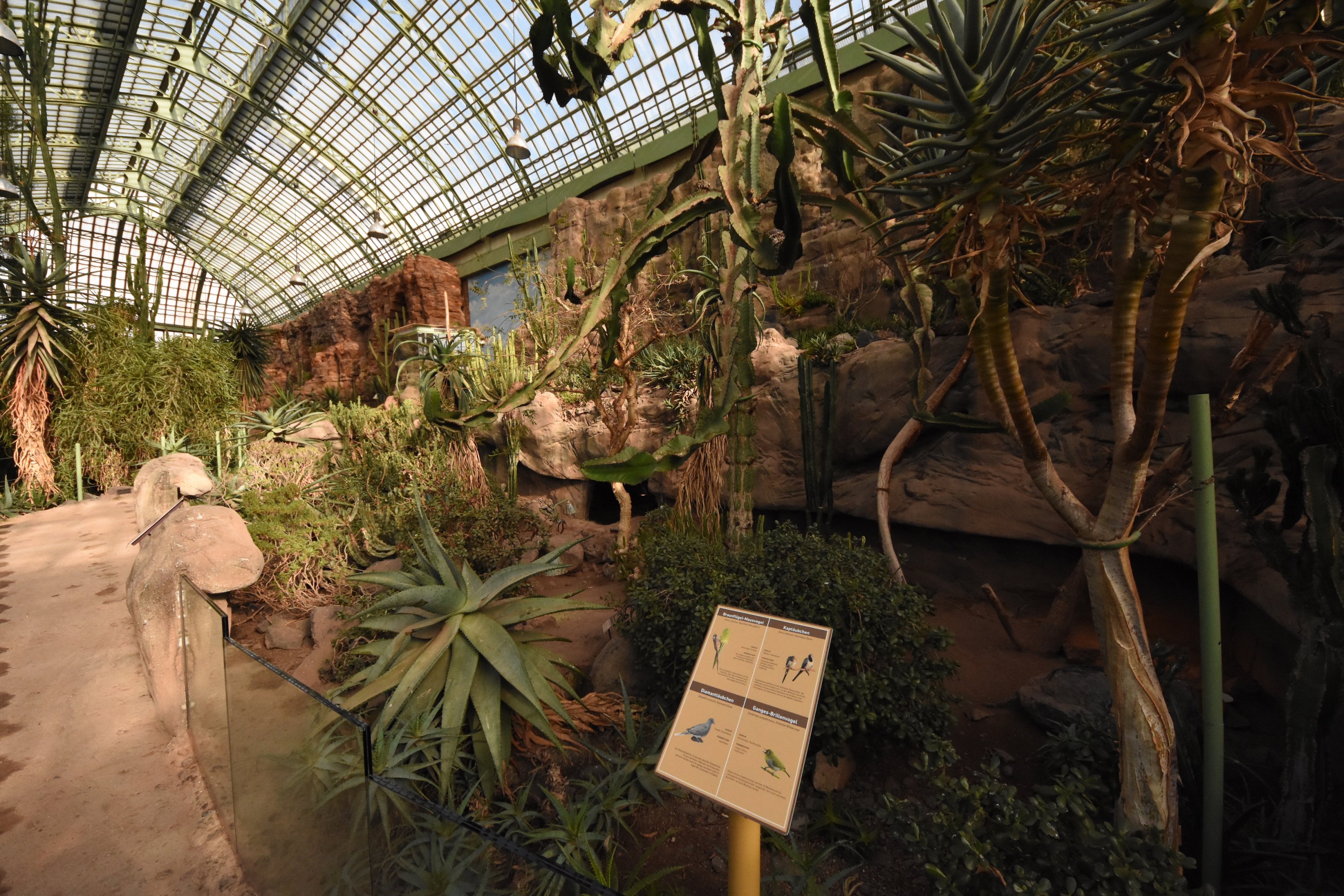 Desert house - Elephant shrew and tortoise enclosure