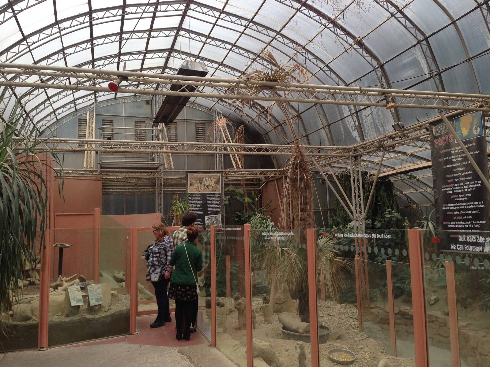 Desert House General View at Tropical World - 02/10/2013