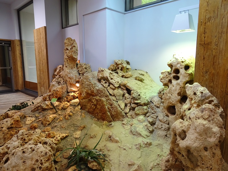 Desert House interior