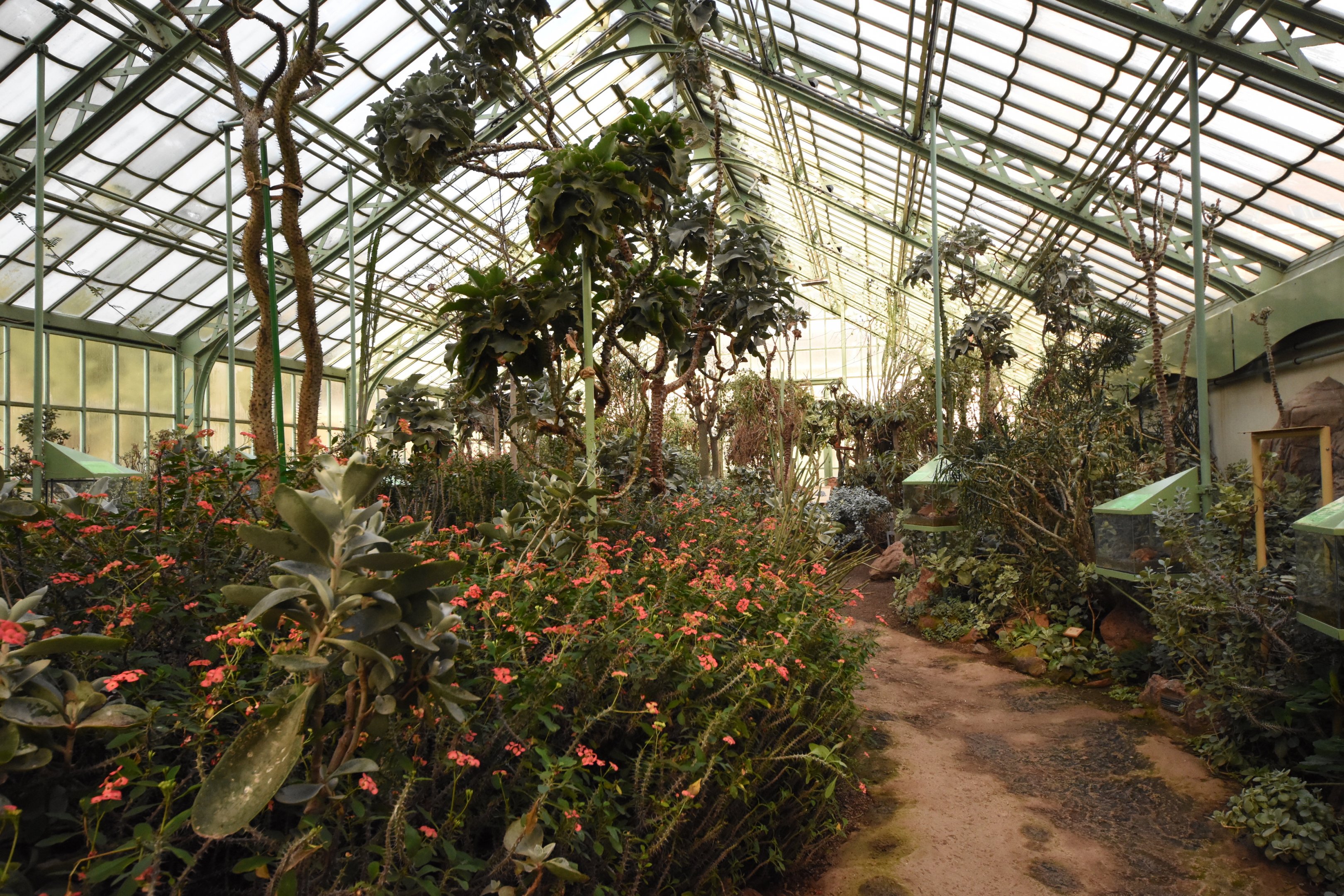 Desert house - Madagascar section
