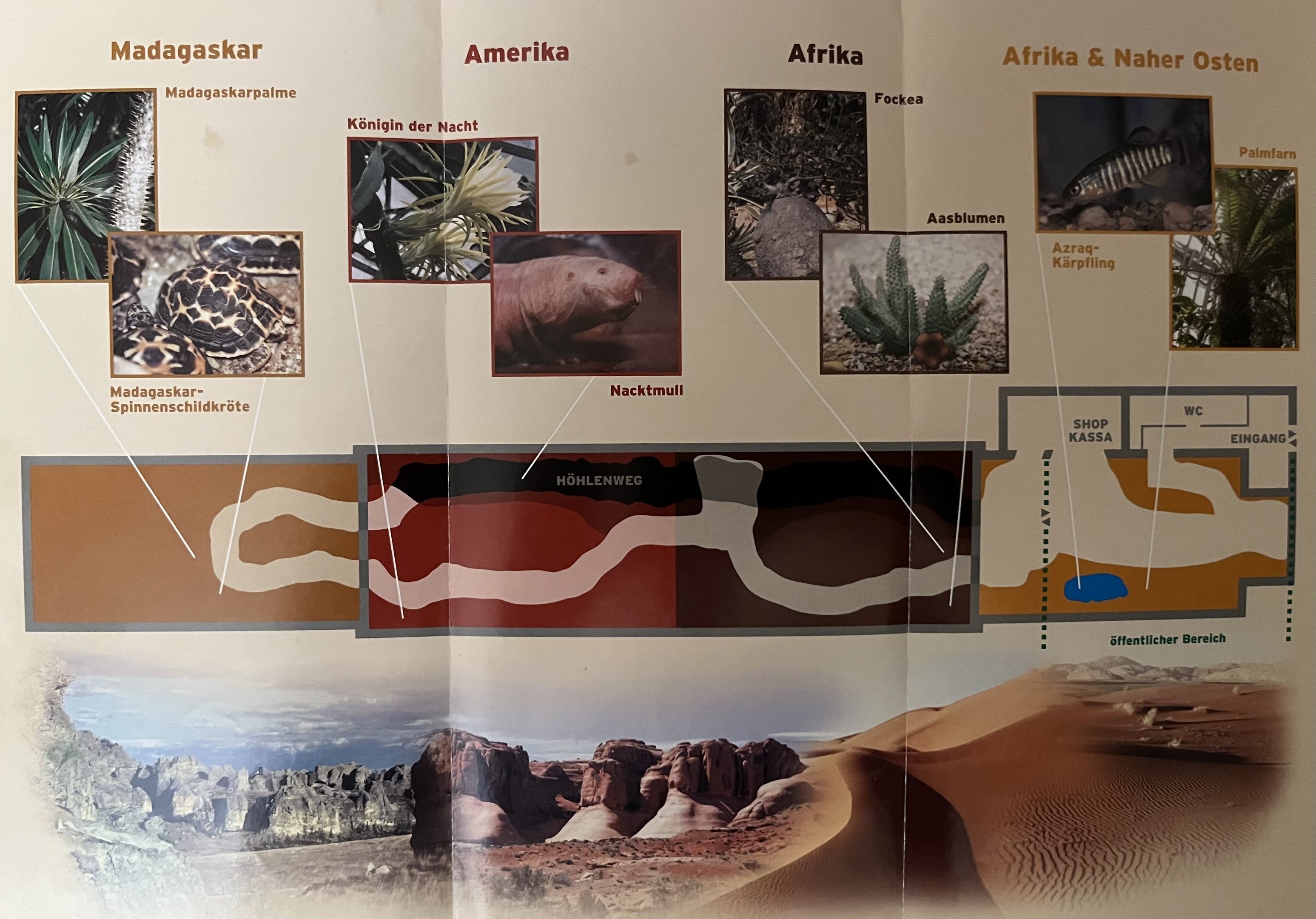 Desert House Map - undated