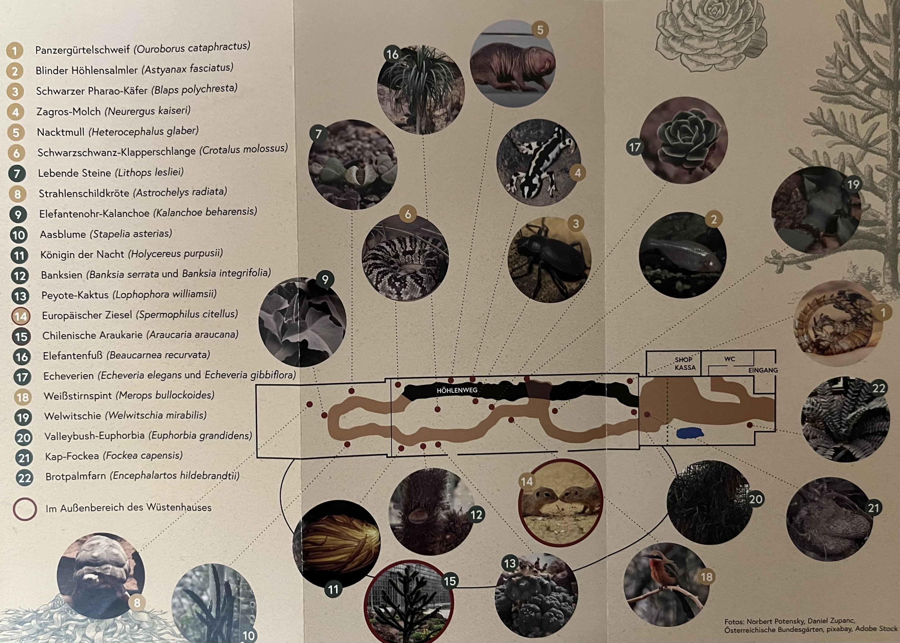 Desert House Map - undated