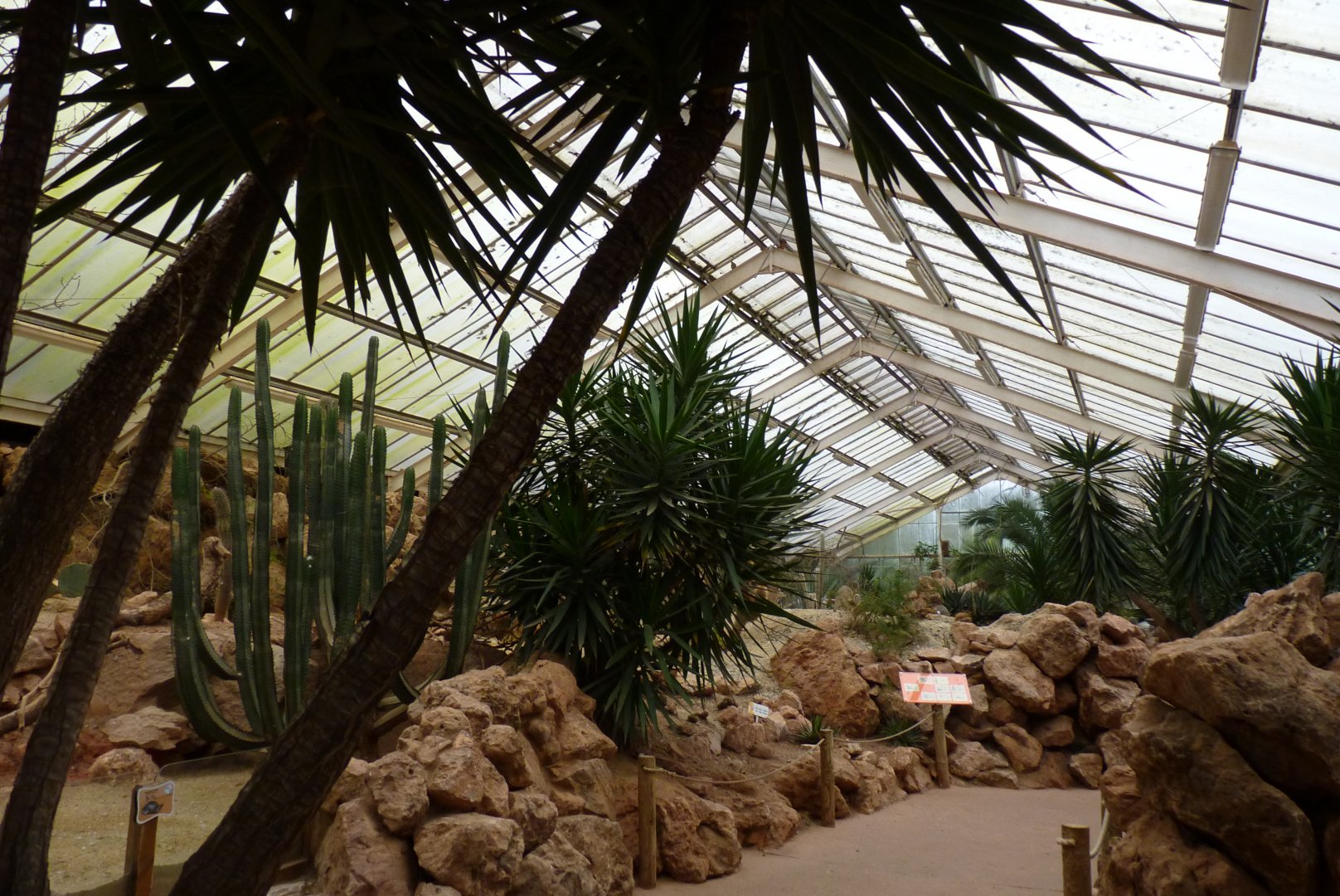 Desert House, March 2017