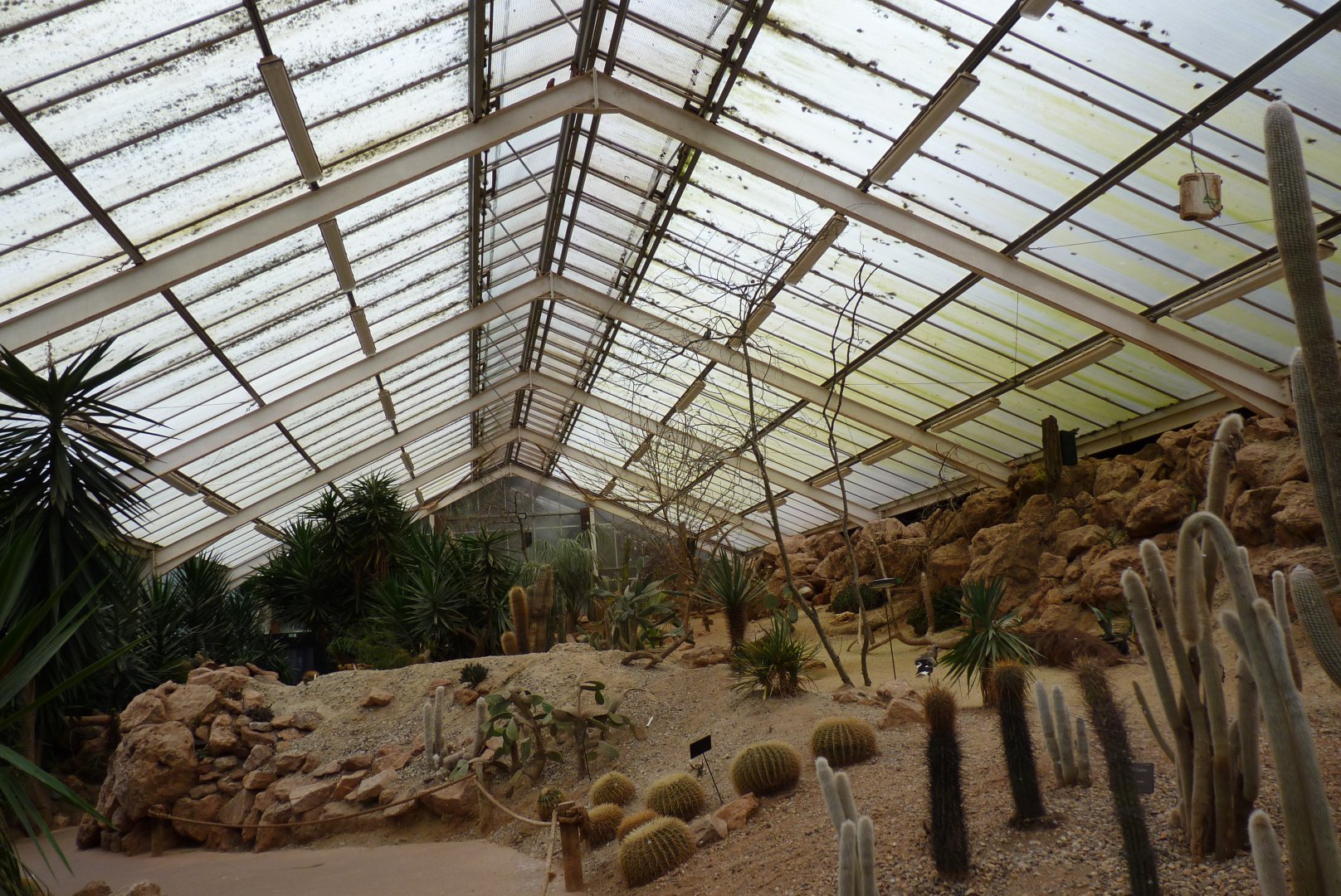 Desert House, March 2017