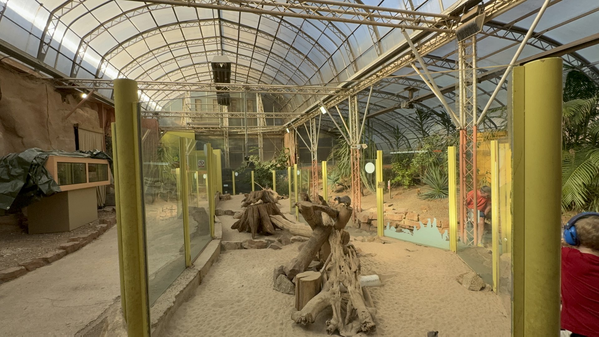 Desert House / Meerkat Enclosure at Tropical World (October 2024)