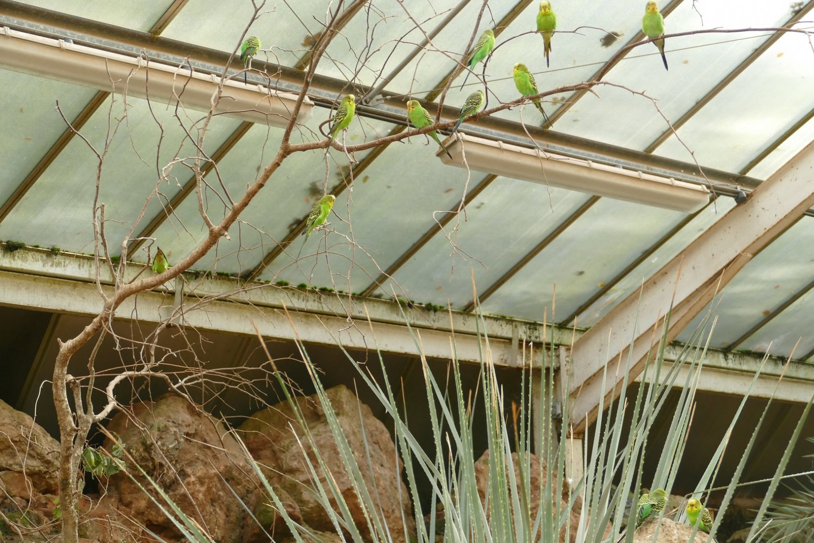 Desert House, October 2020