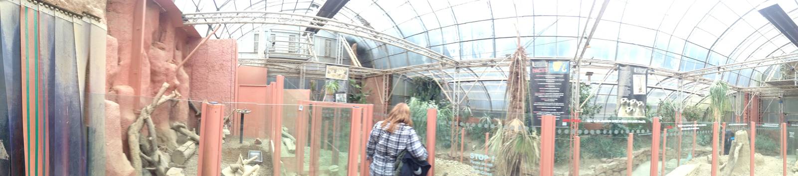 Desert House Panorama at Tropical World - 02/10/2013