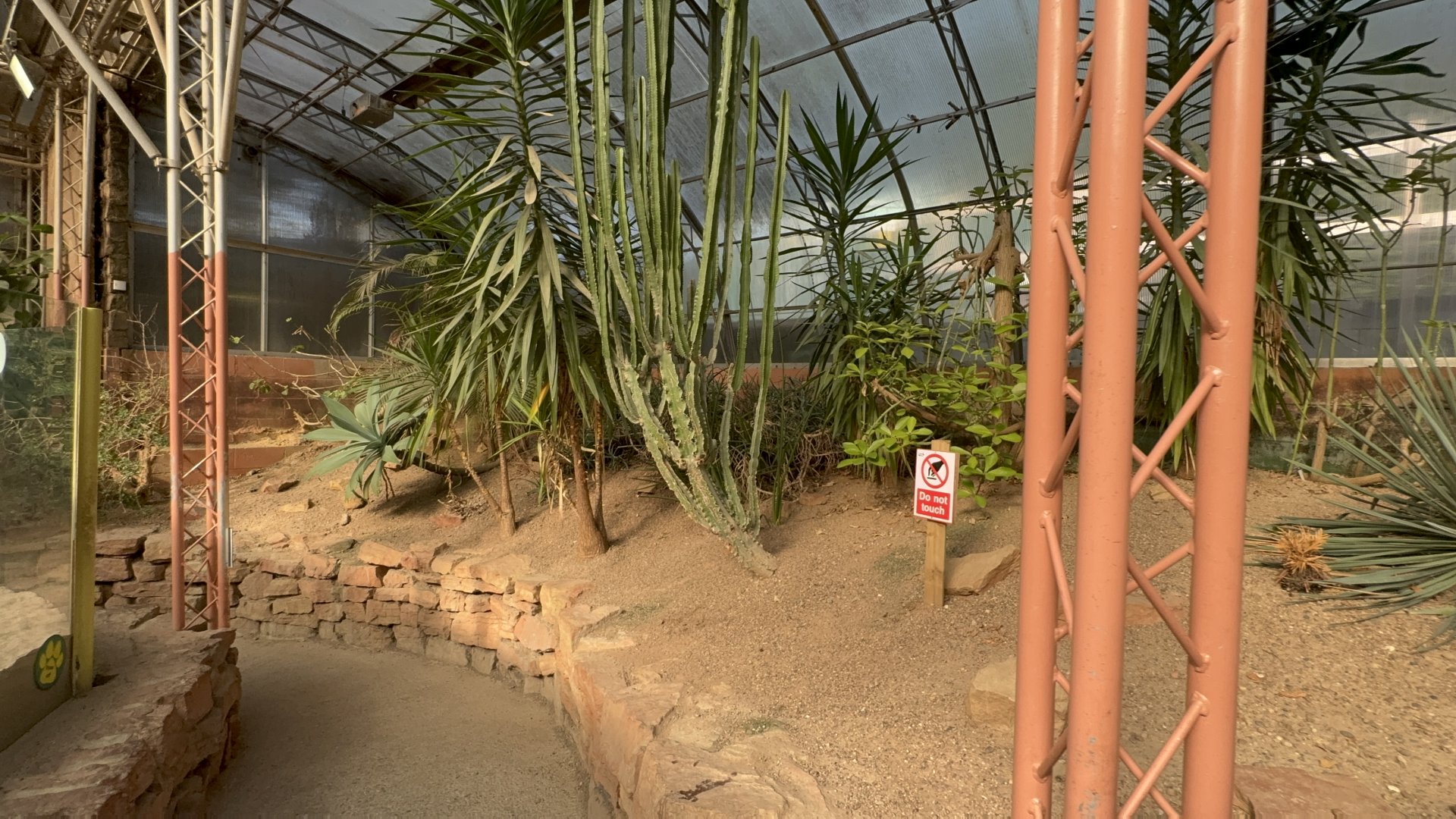 Desert House Plants at Tropical World (October 2024)
