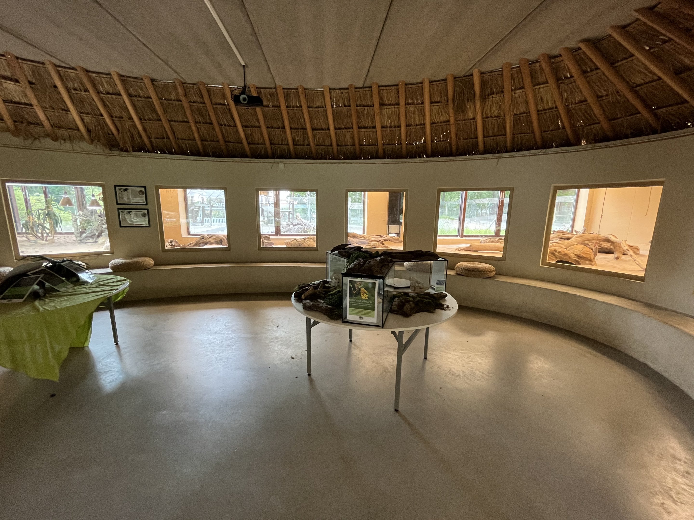 Desert House - Radiated Tortoise Exhibit