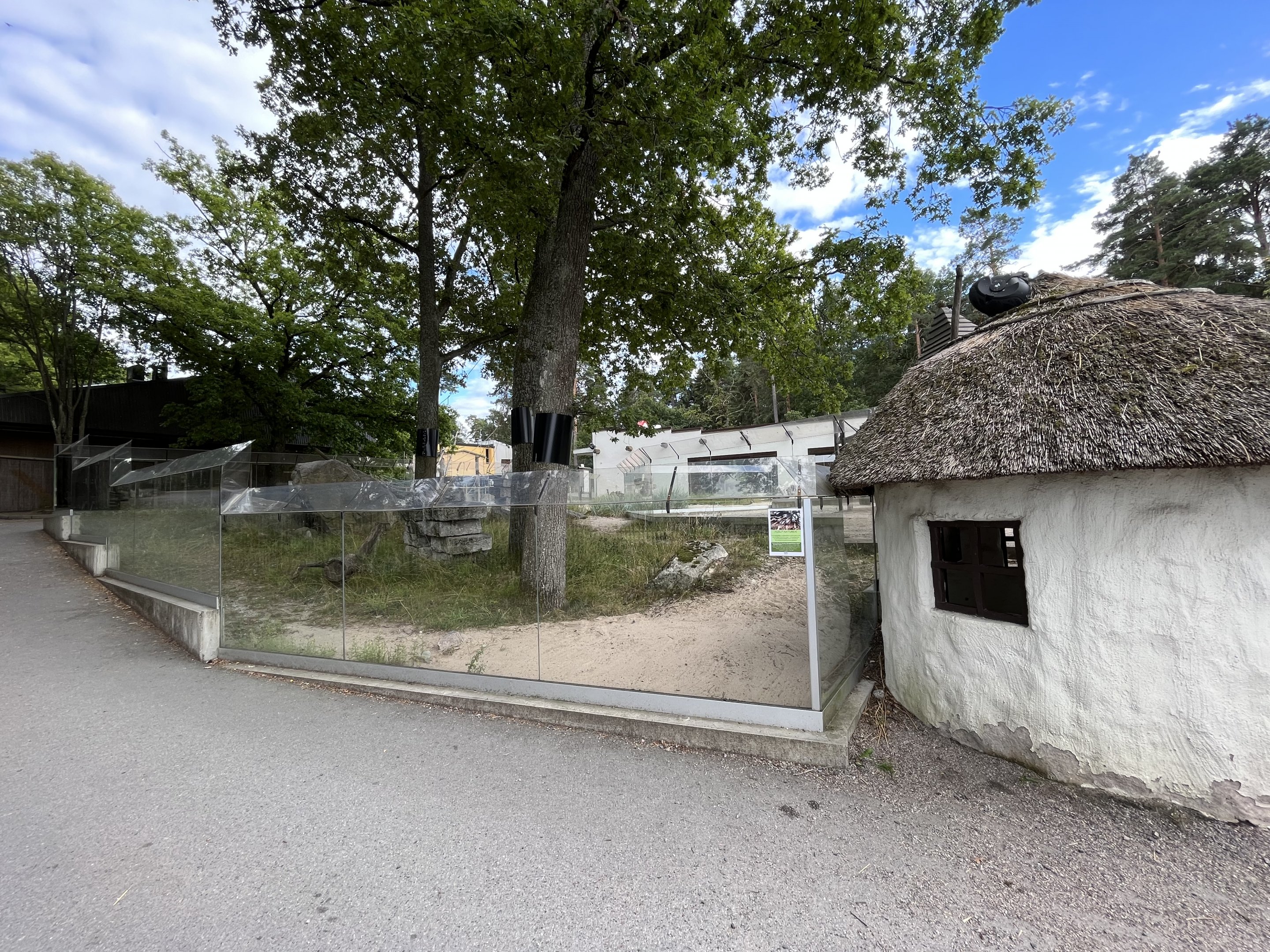 Desert House - Sand Cat Exhibit