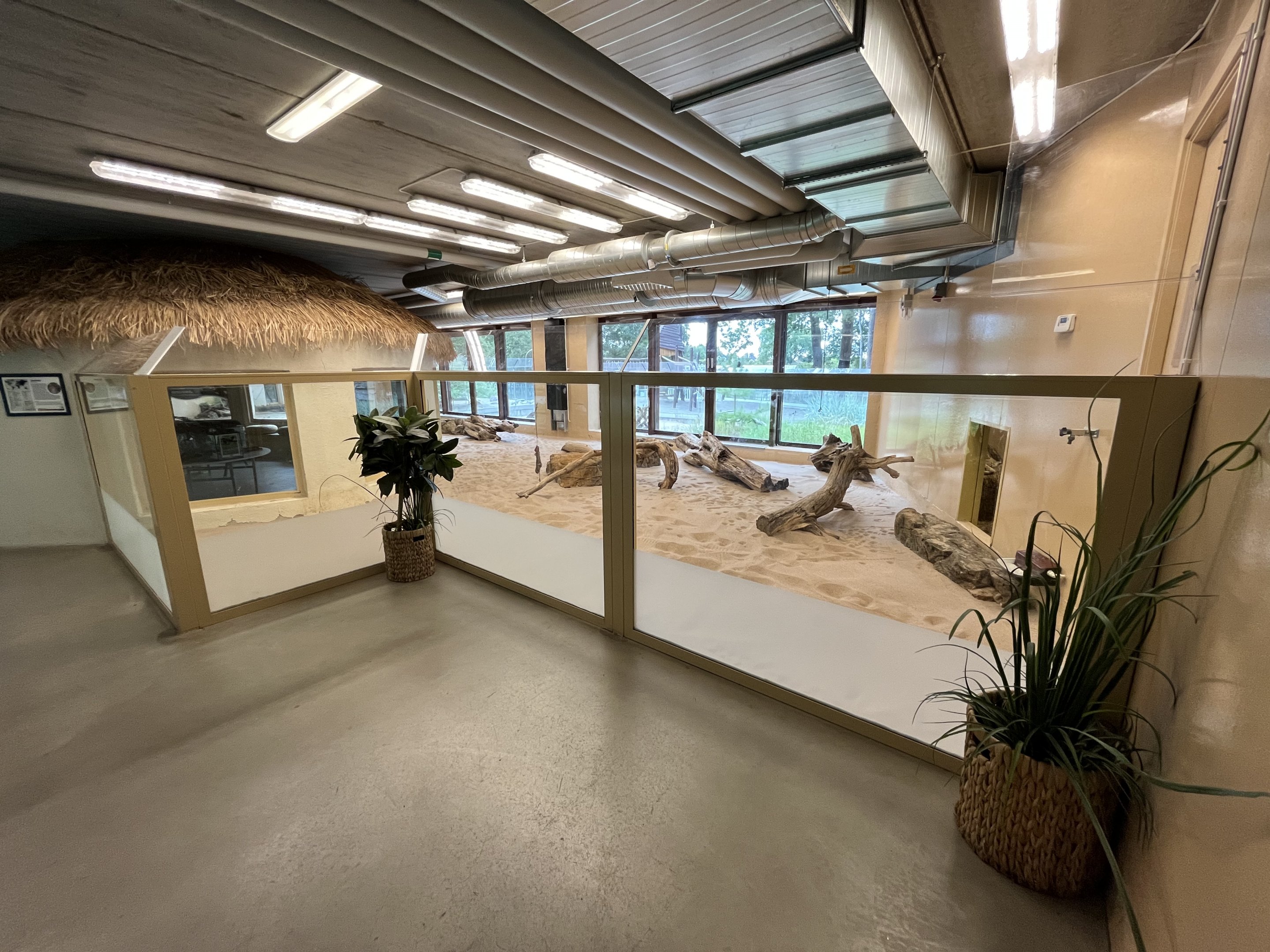 Desert House - Sand Cat Exhibit