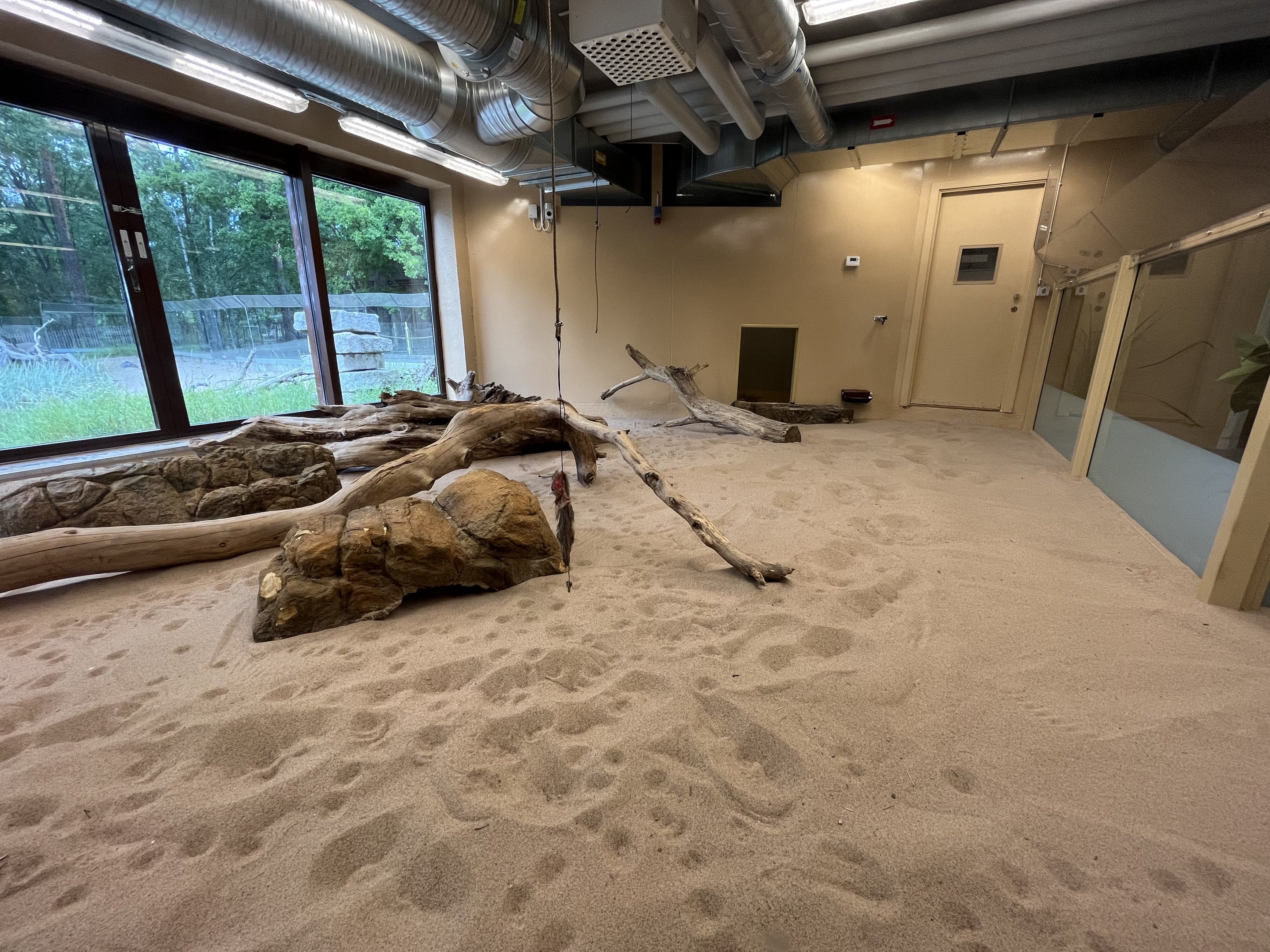 Desert House - Sand Cat Exhibit