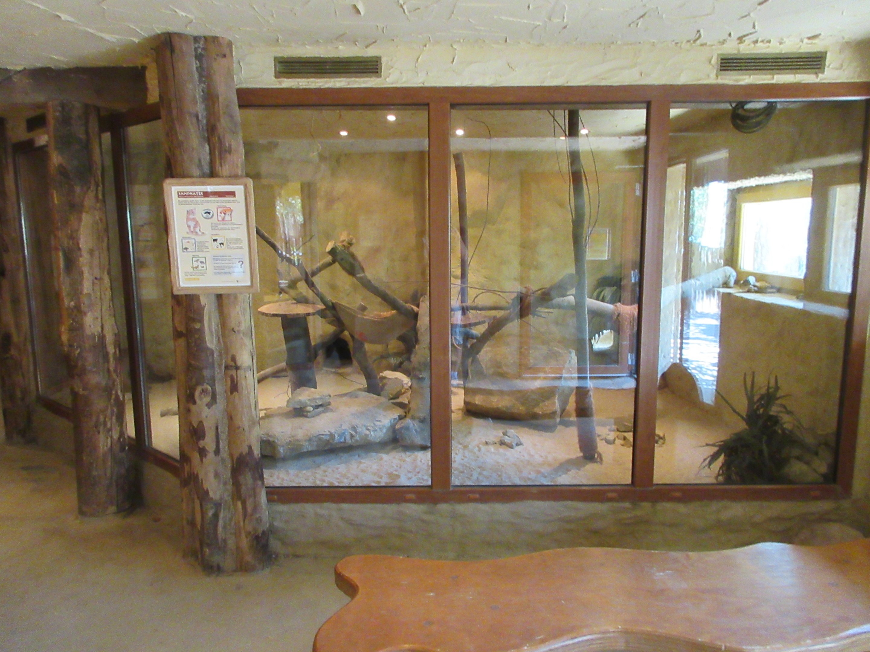 Desert House - Sand Cat Indoor Exhibit