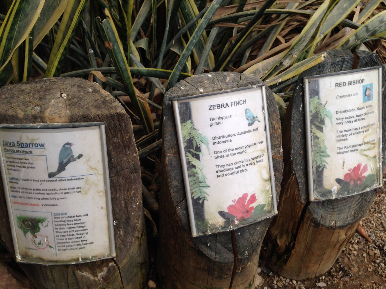 Desert House Signage at Tropical World - 02/10/2013