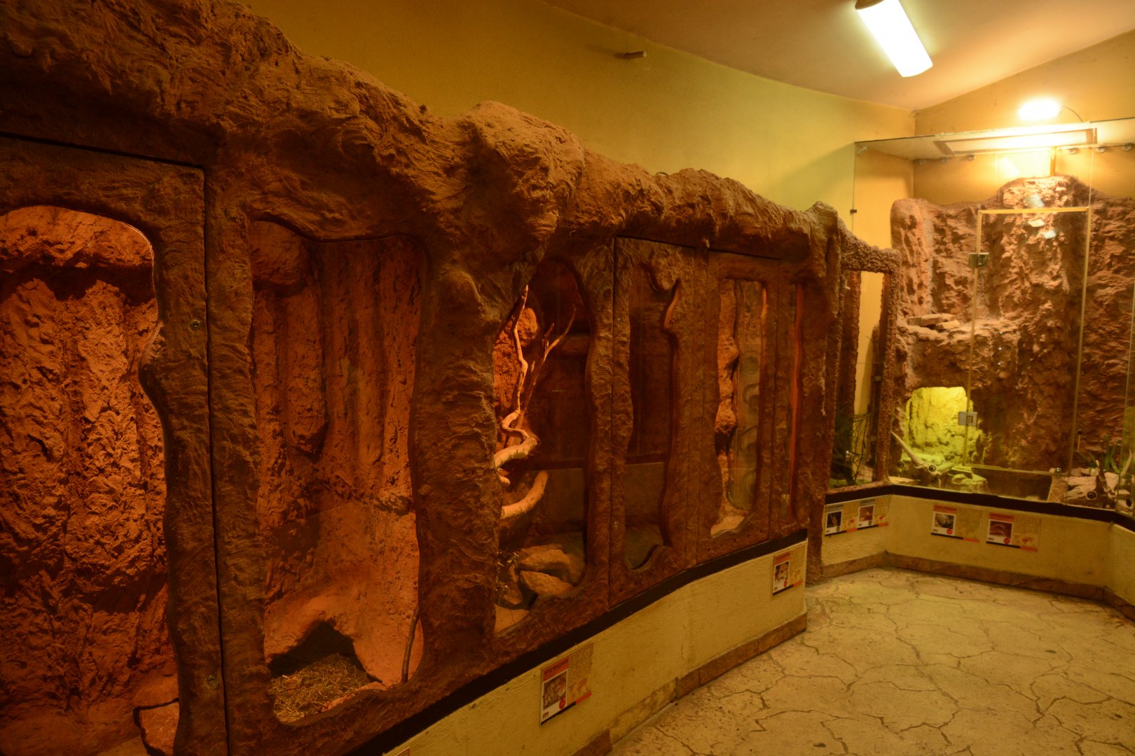 Desert house - Small mammal enclosures