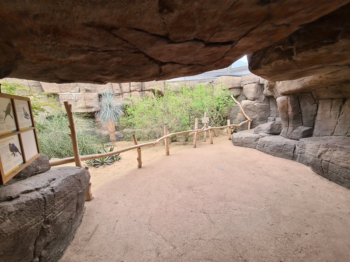 Desert - Inside of Canyon aviary