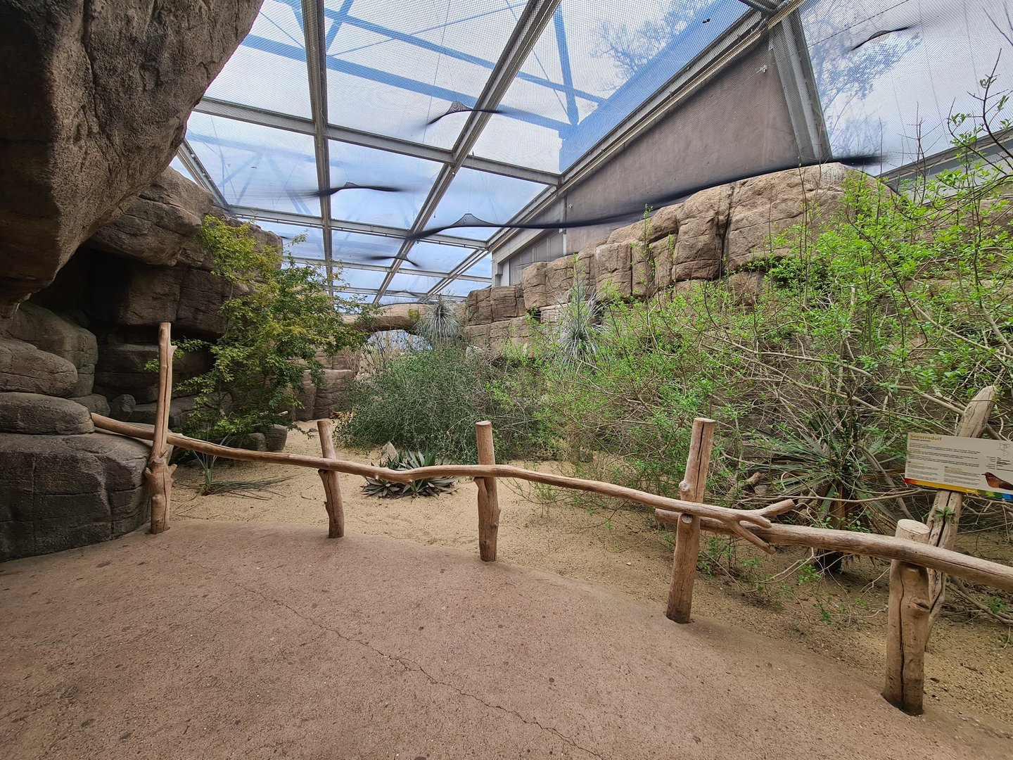 Desert - Inside of Canyon aviary