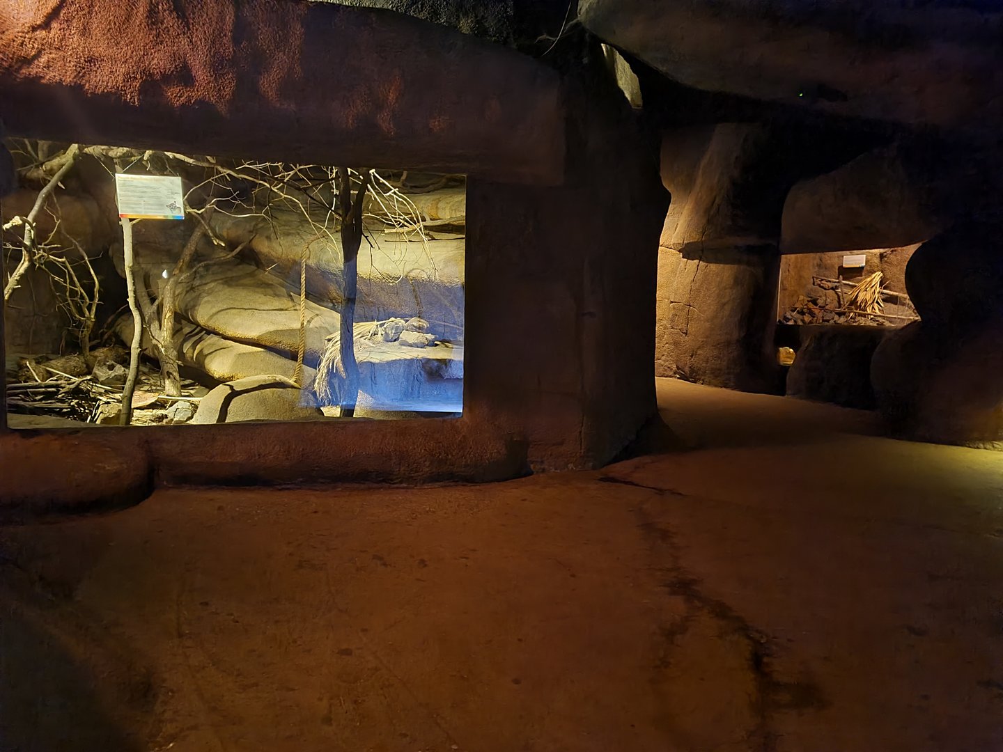 Desert - Inside of the Cave